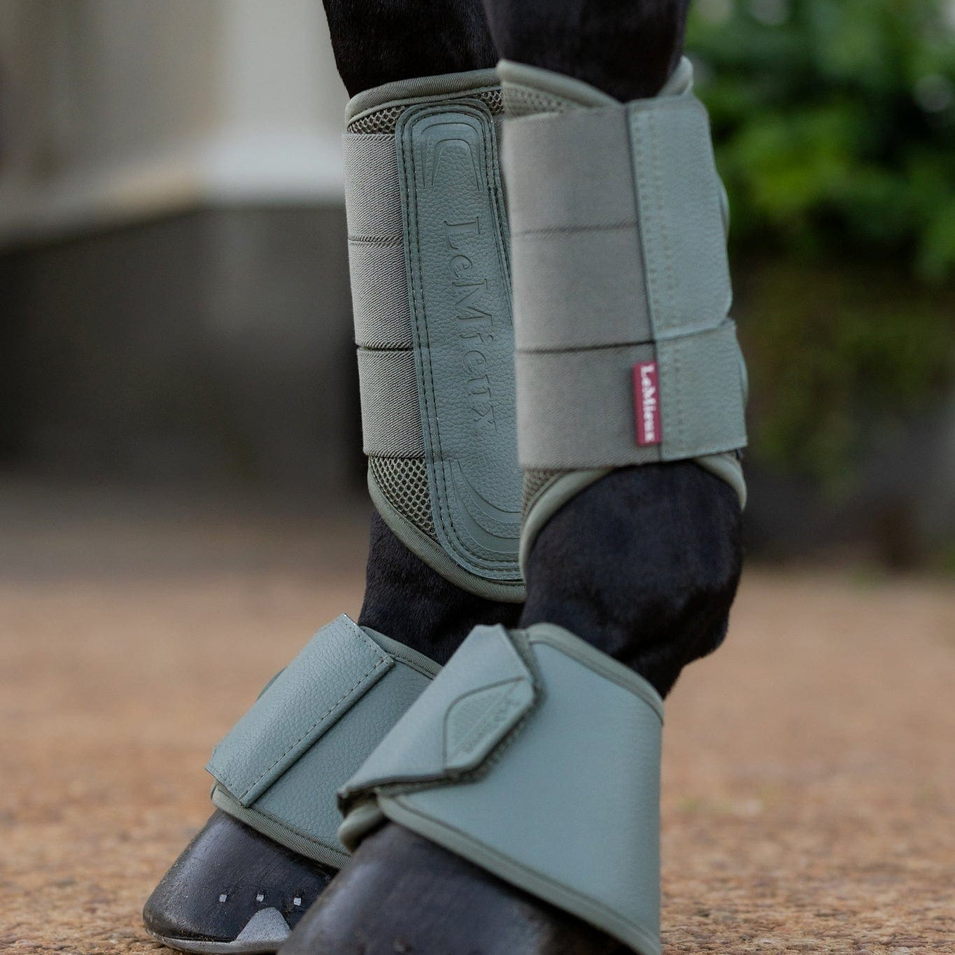 LeMieux Arika Over Reach Boots