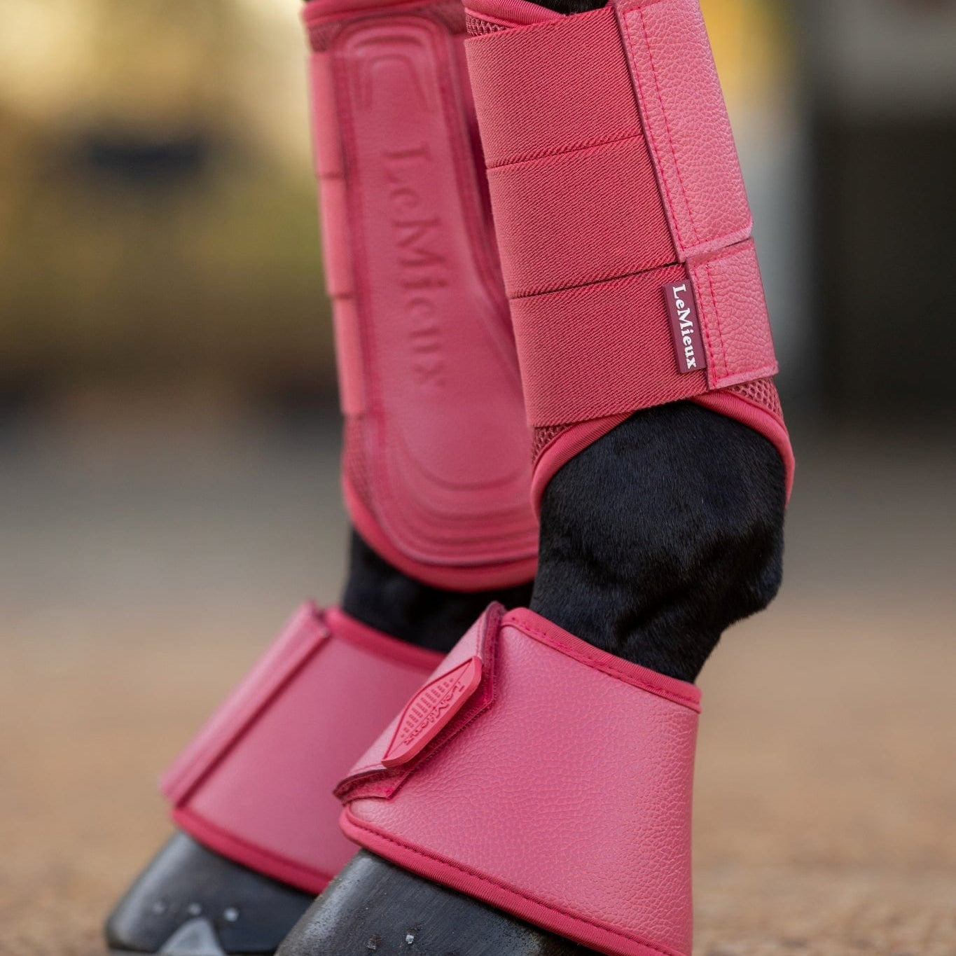 LeMieux Arika Over Reach Boots