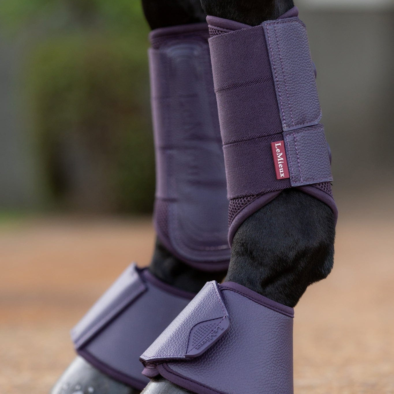 LeMieux Arika Over Reach Boots