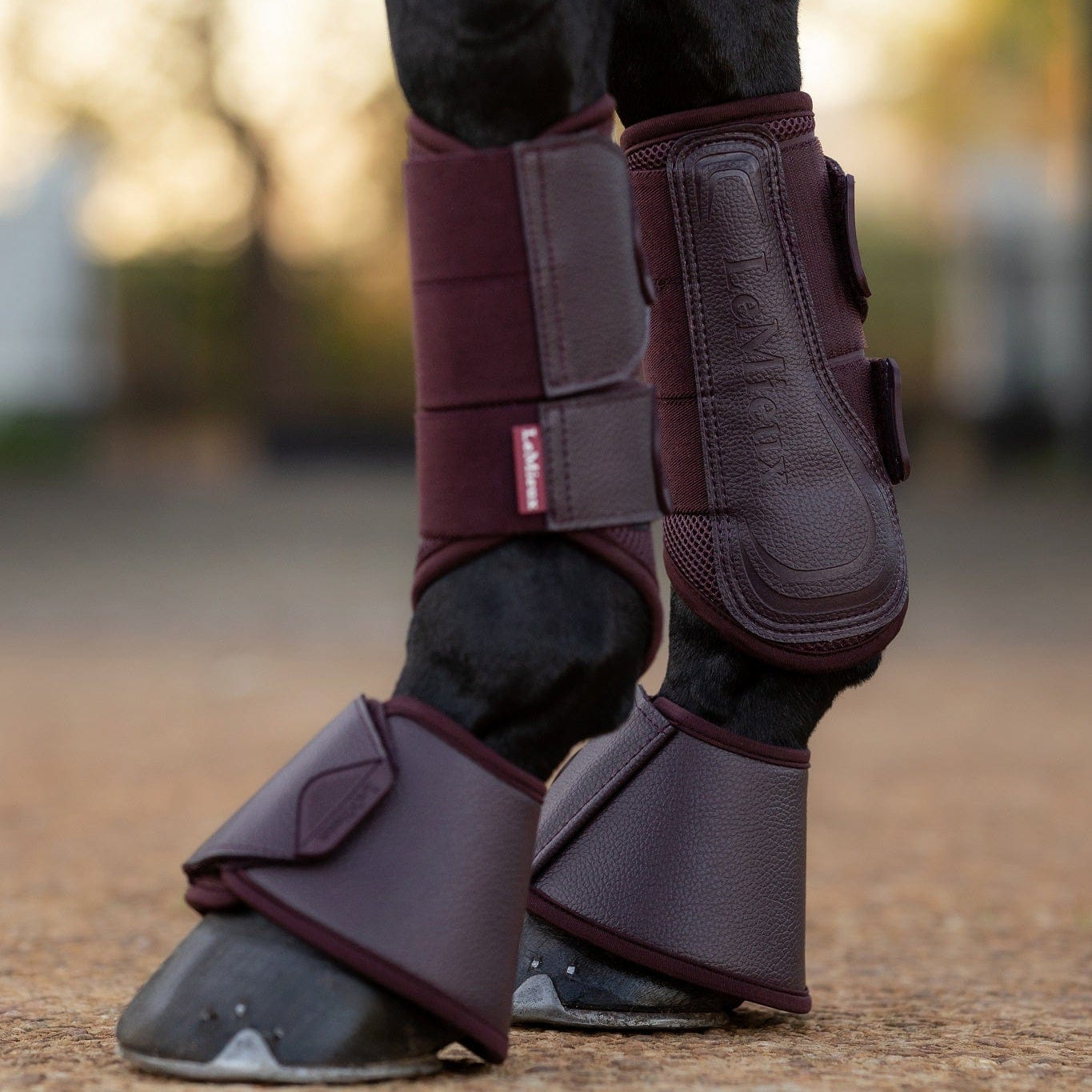 LeMieux Arika Over Reach Boots