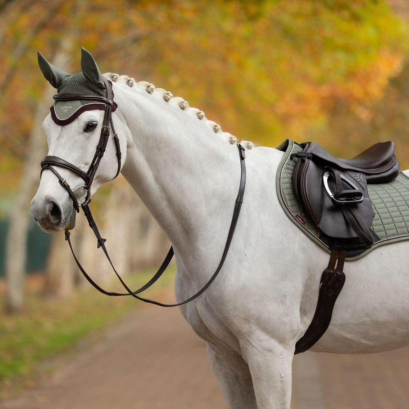 LeMieux Suede Close Contact Square Pad rosemary