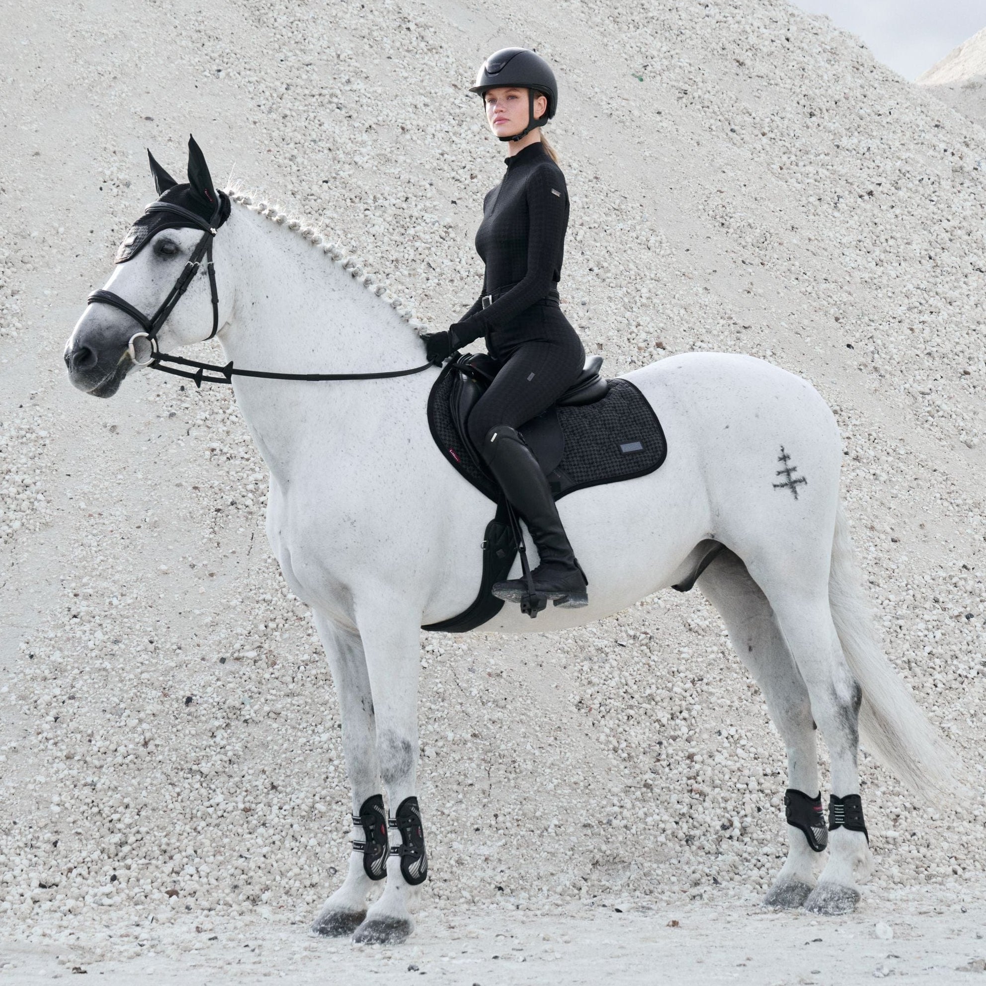 Person riding a white horse on a sandy surface