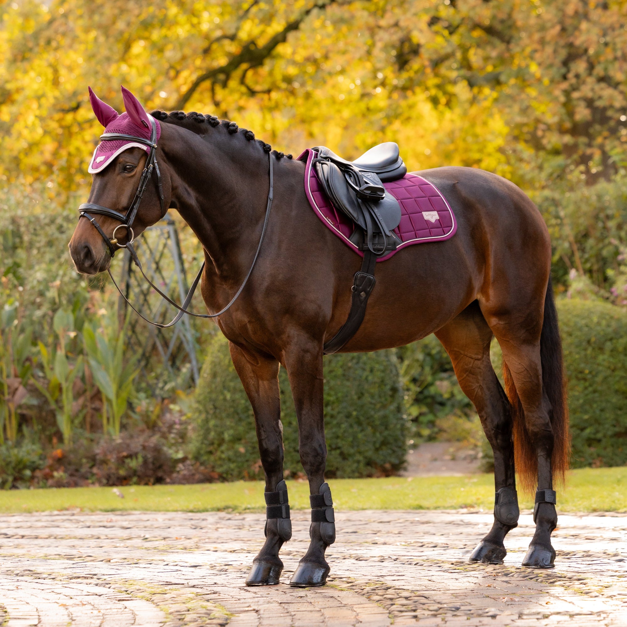 LeMieux Loire Classic Close Contact Square Pad