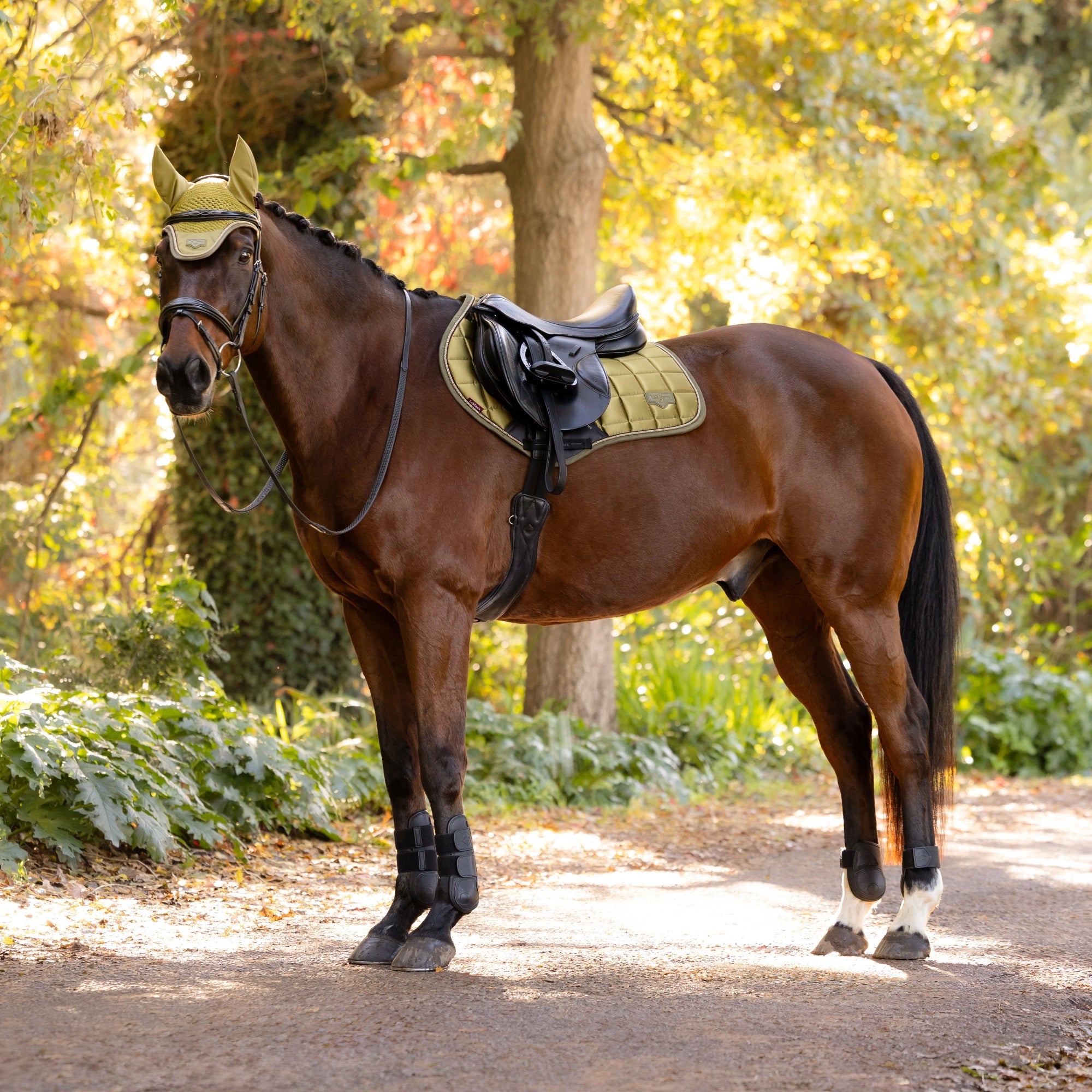 LeMieux Loire Classic Close Contact Square Pad