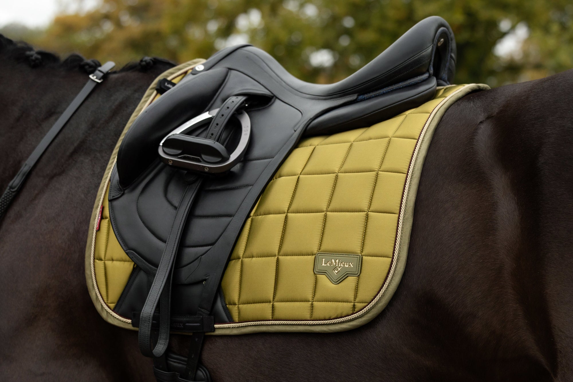 LeMieux Loire Classic Square Dressage Pad