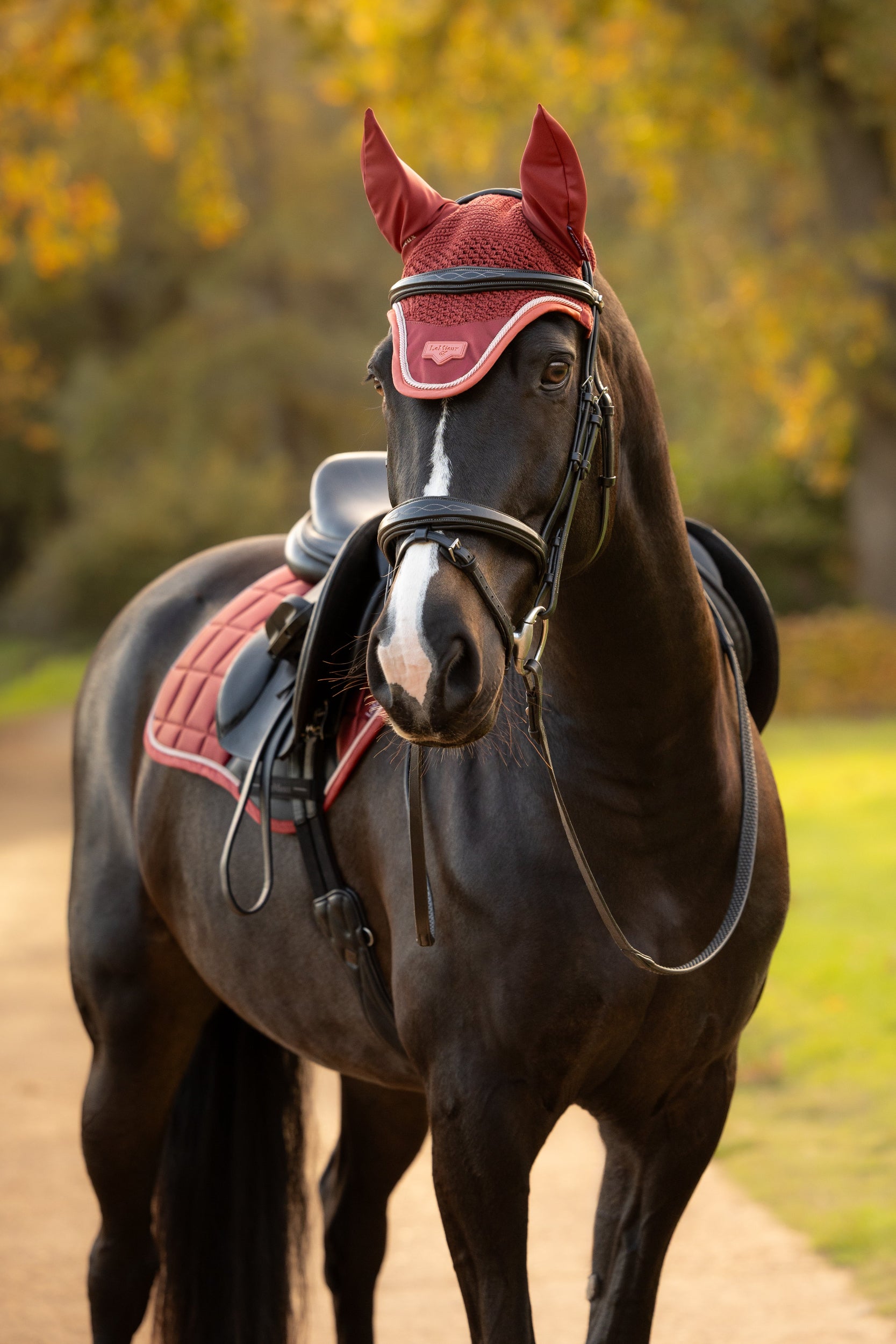 LeMieux Loire Ear Bonnet