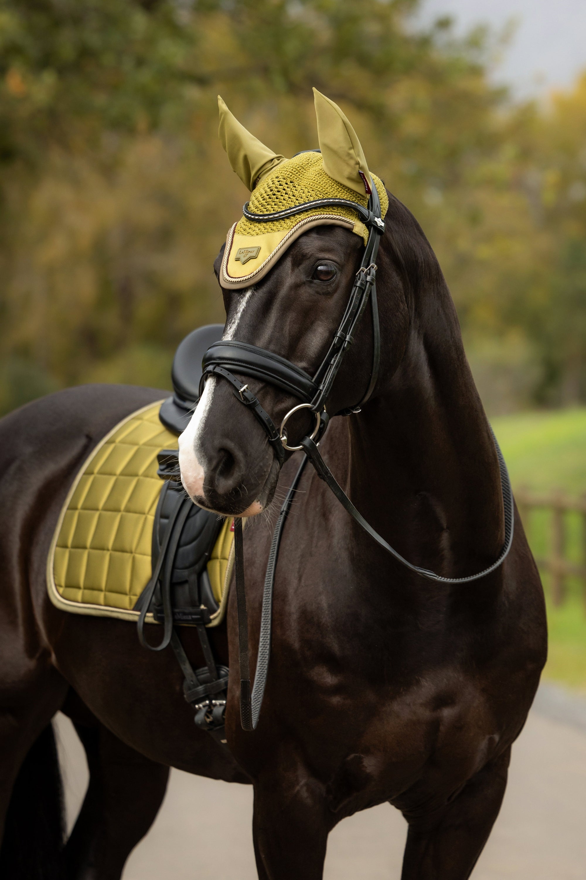 LeMieux Loire Ear Bonnet