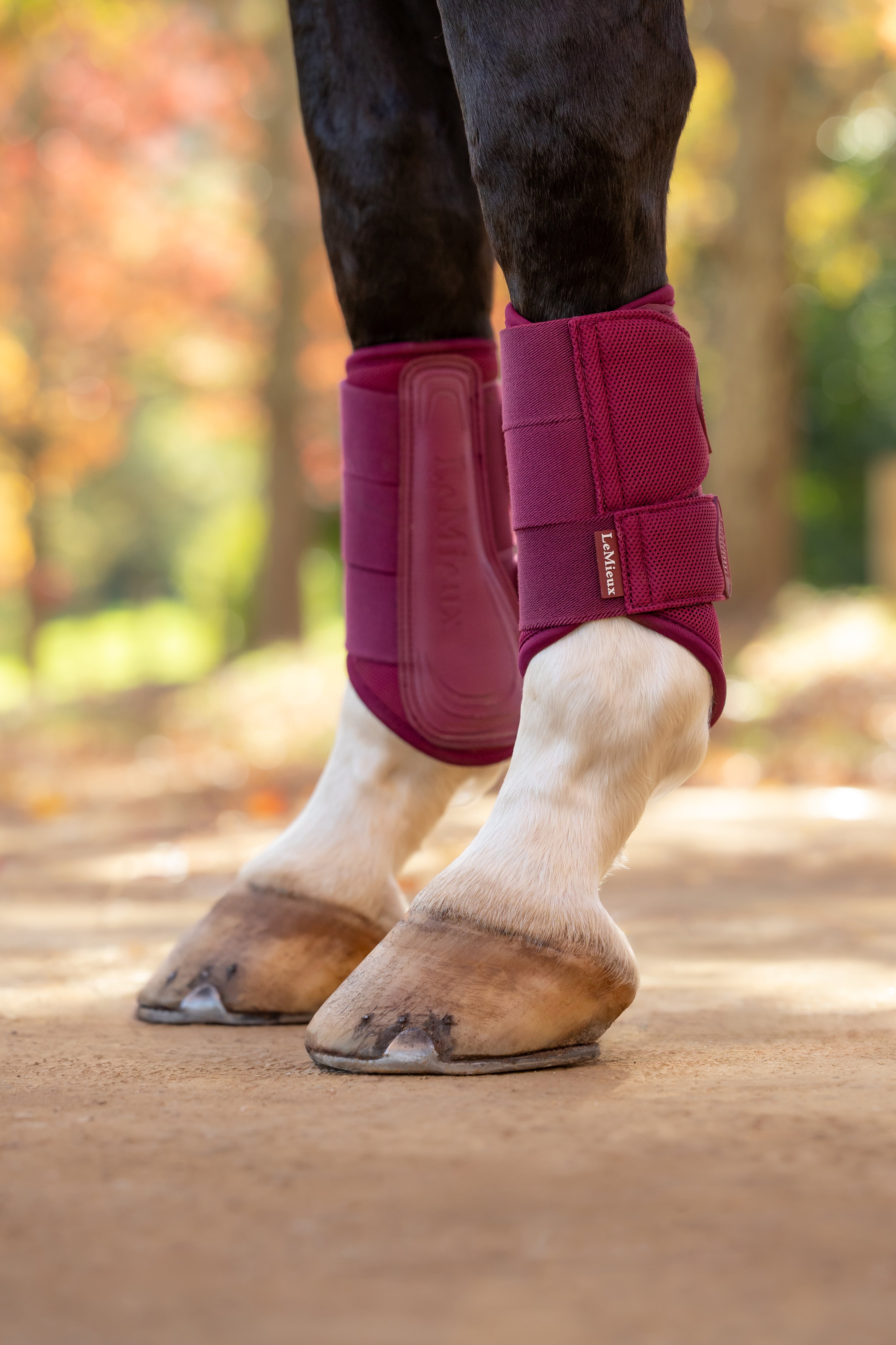 LeMieux Arika Mesh Brushing Boots.