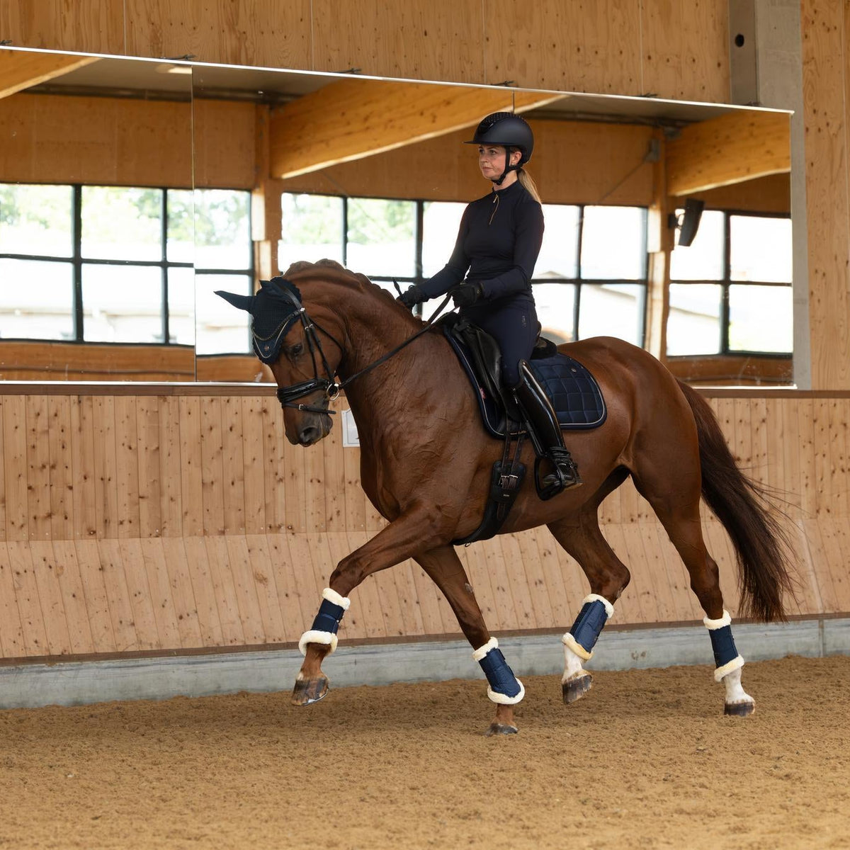 A person in black equestrian attire rides a brown horse with white and navy leg wraps inside a wooden indoor riding arena.