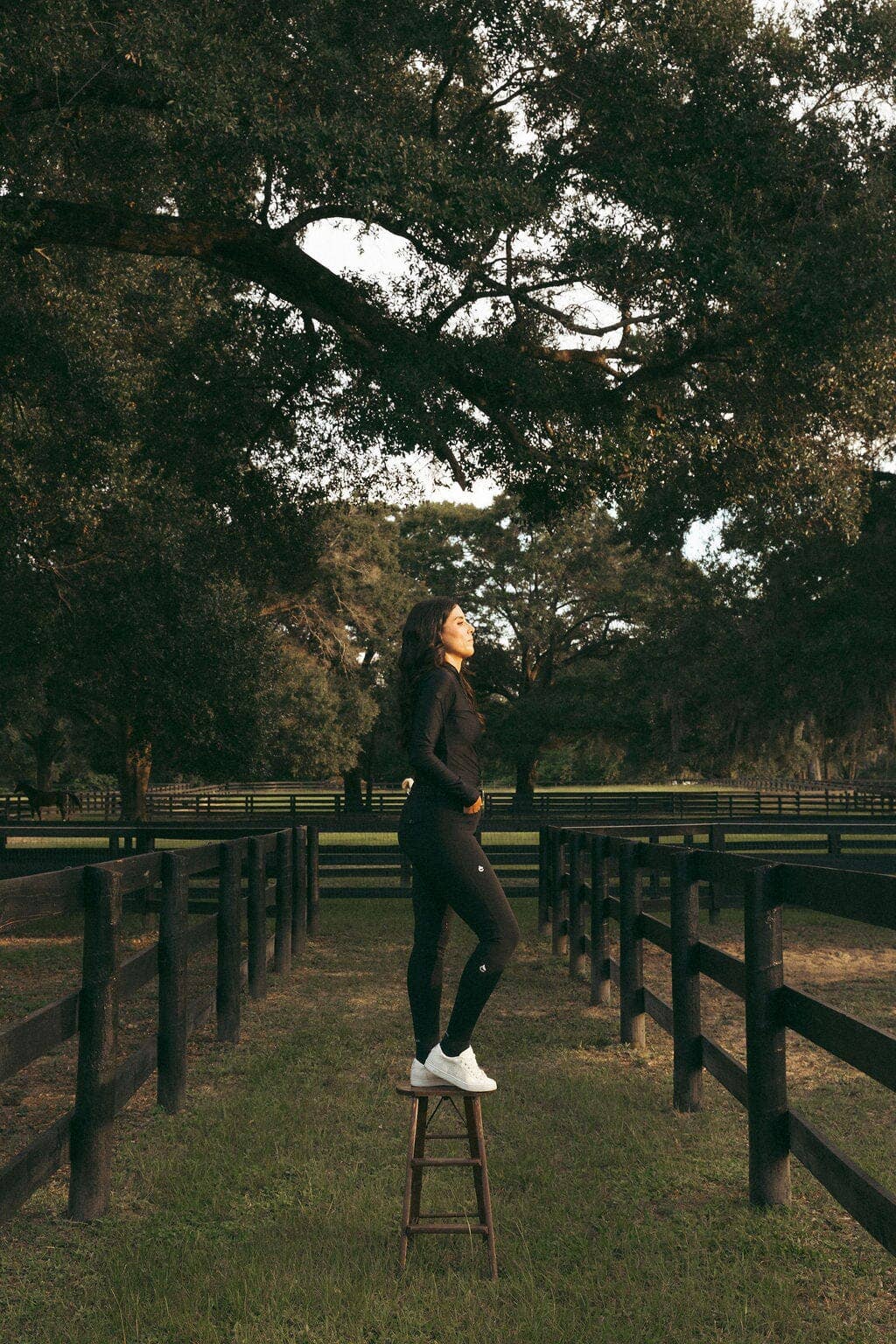 Person standing on a stool in a fenced field with trees