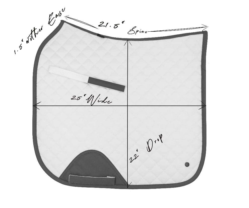 measurements for dressage pad