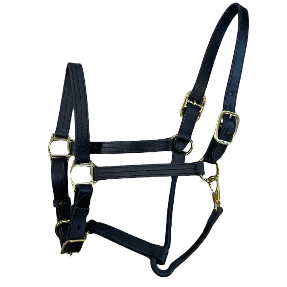 Perris 1" Premium Leather Show Halter - Black