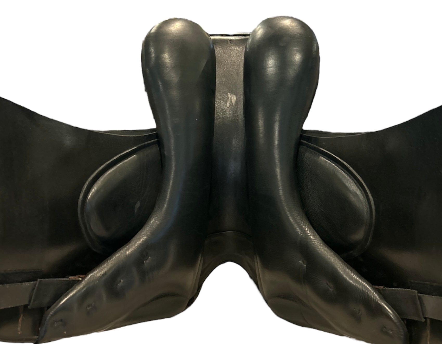 18" Prestige D1, 2011, Medium (5") Tree