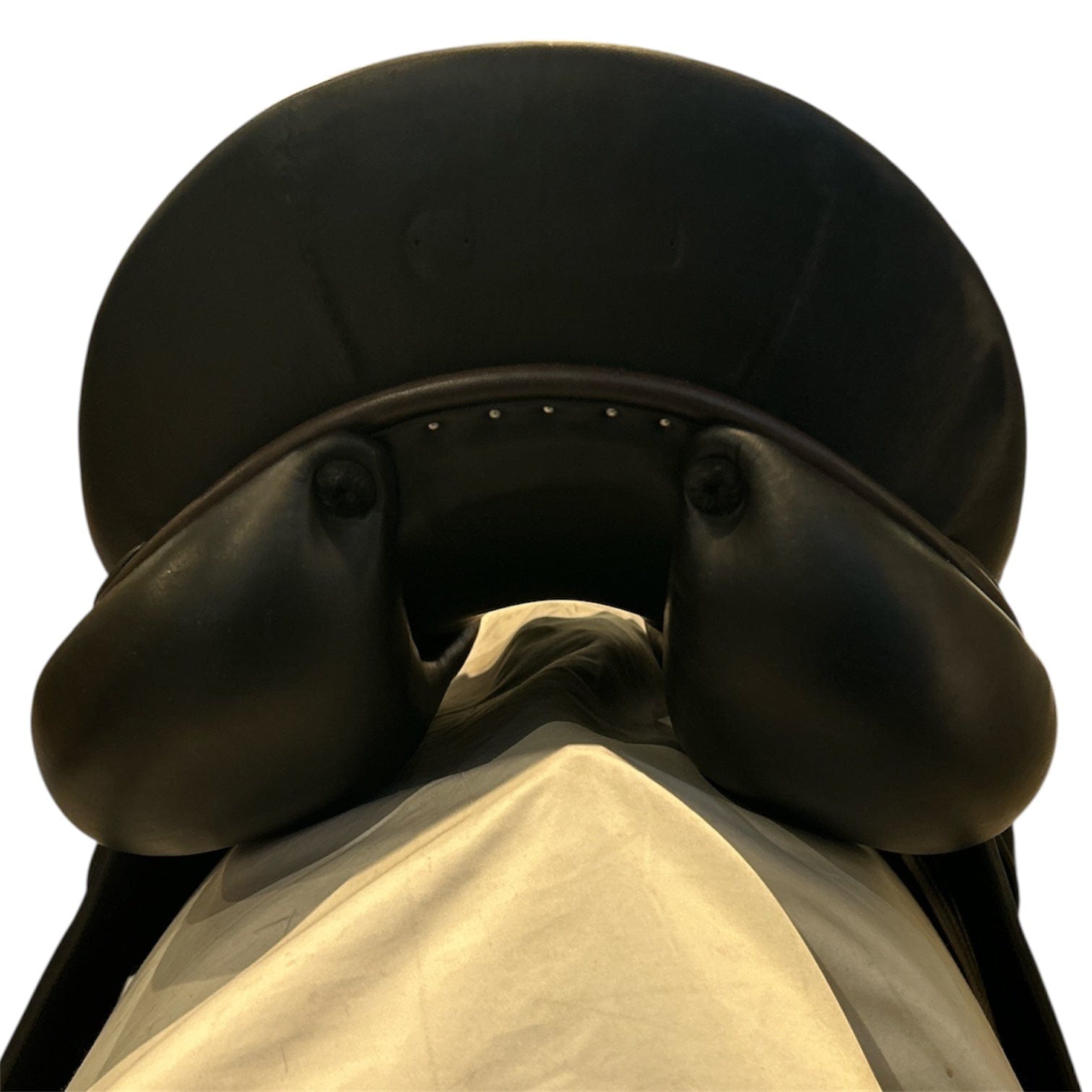 17.5" Butet Dressage Premium, 2019, Medium (4.75") Tree