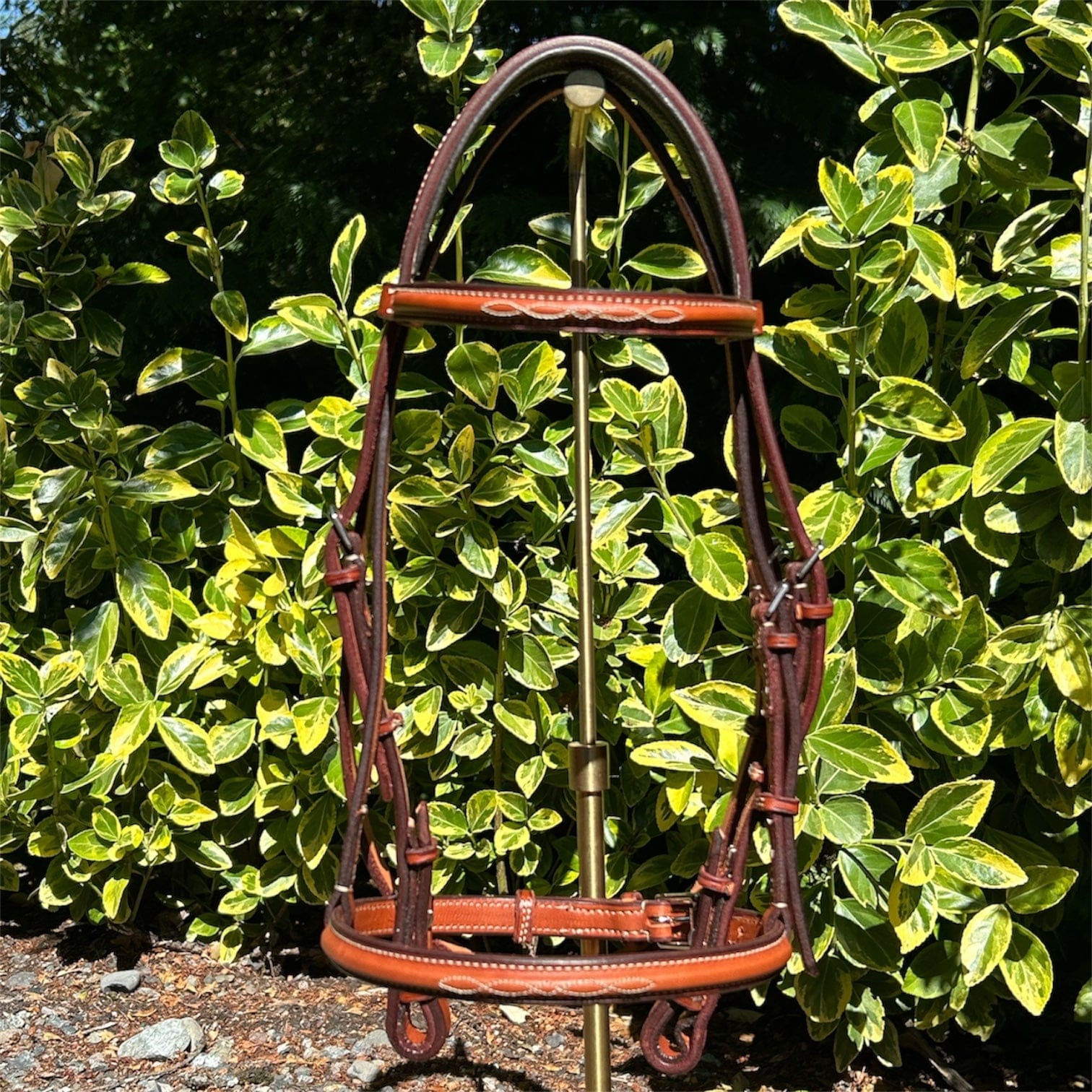 Edgewood Fancy Stitched Raised Pony Bridle - 5/8" Padded Crown 12NFZ