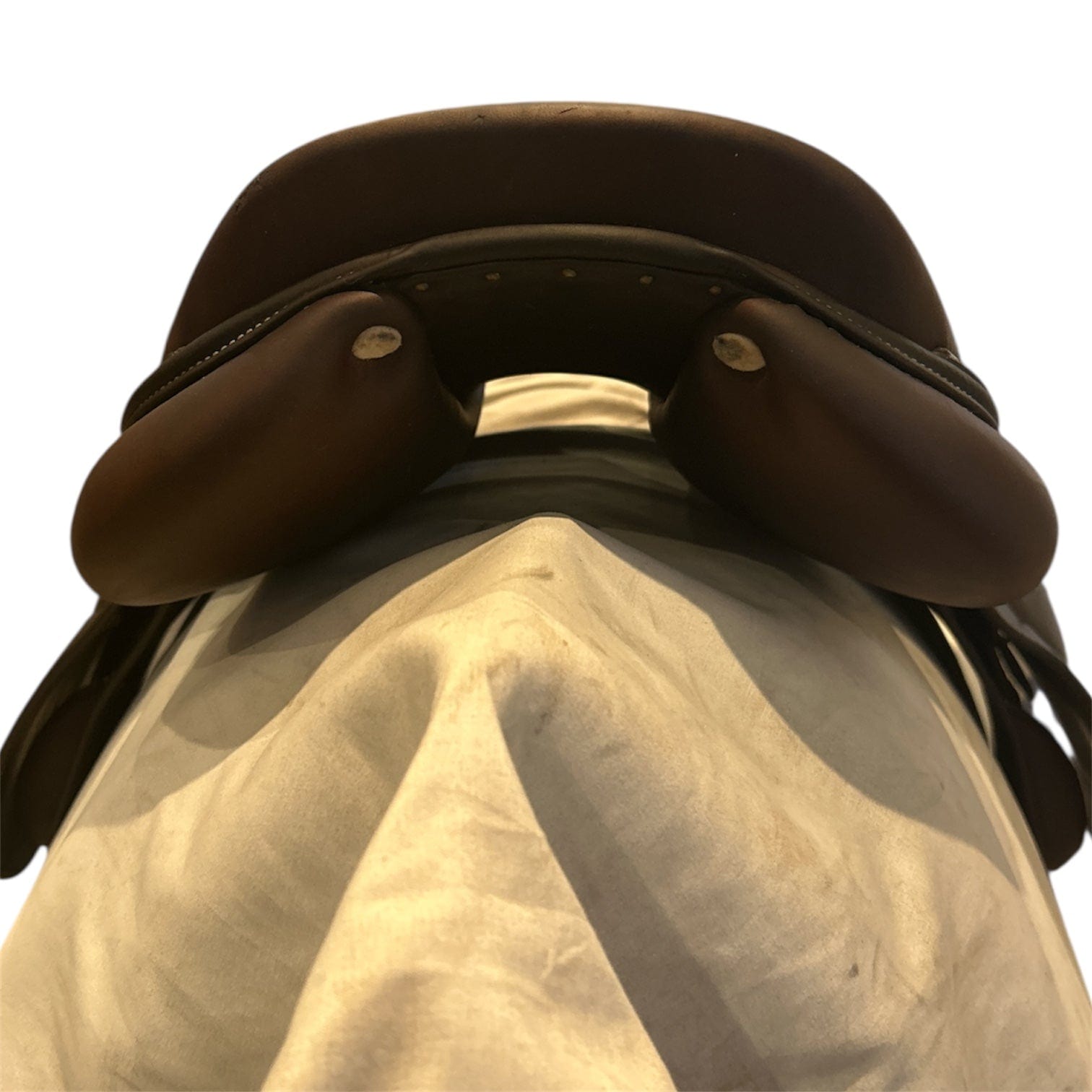 15.5" Antares Spooner, 2015, 00DD Flap, Medium (4.25") Tree