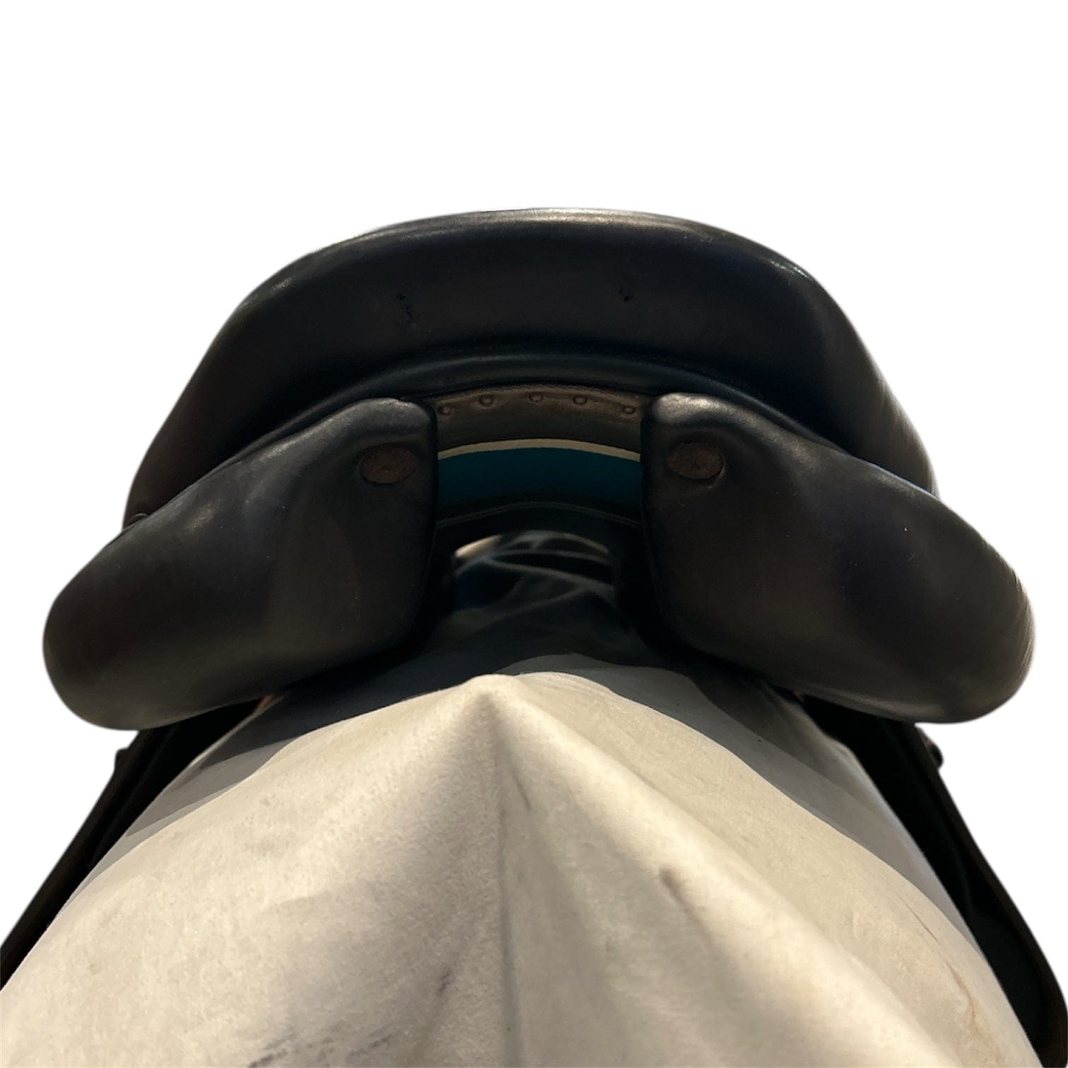 18.5" Voltaire Palm Beach, 2019, 3AAR Flap, Medium Wide (4.75") Tree