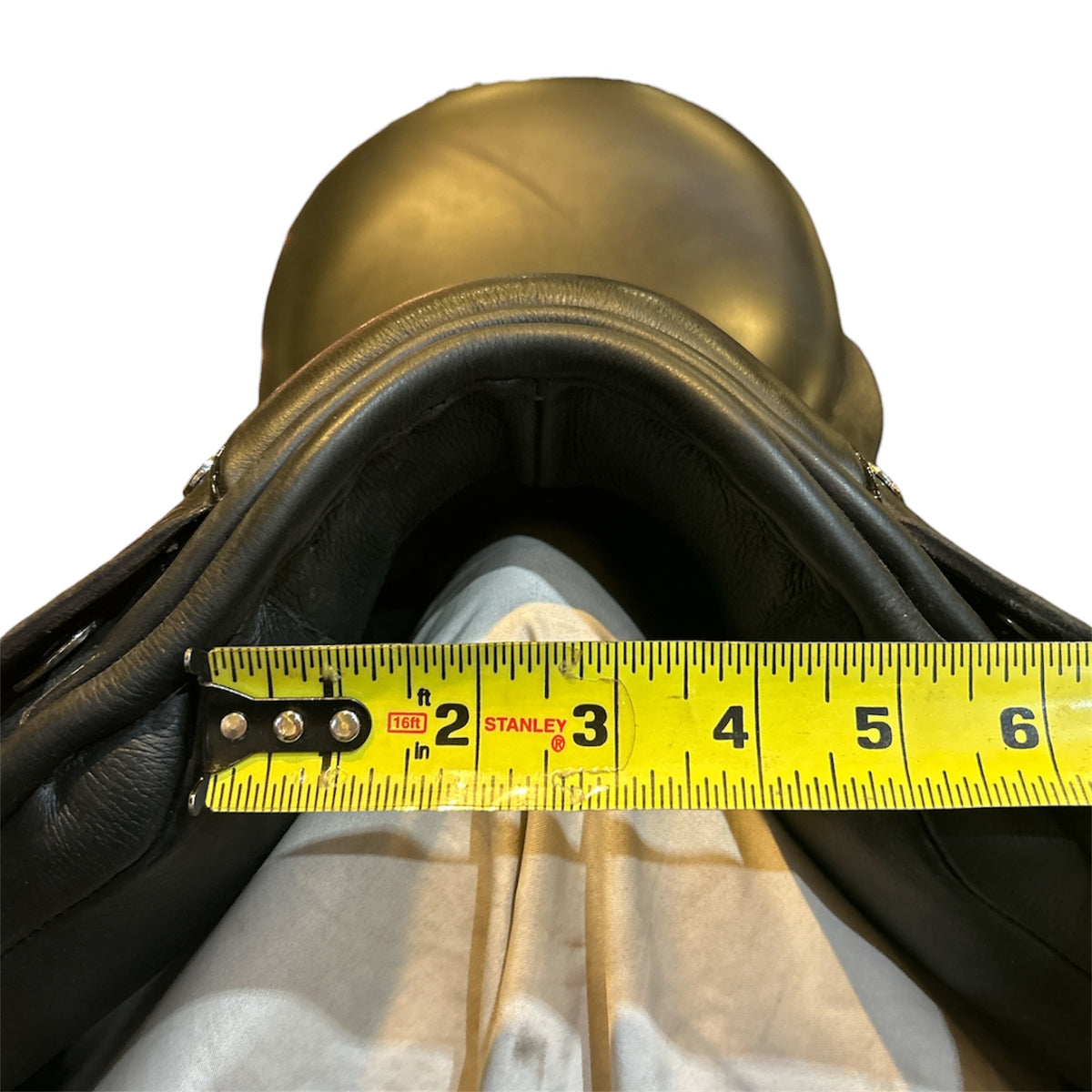 17.5" County Epiphany, 2023, Forward Flap, Wide (4.75") Spring Tree