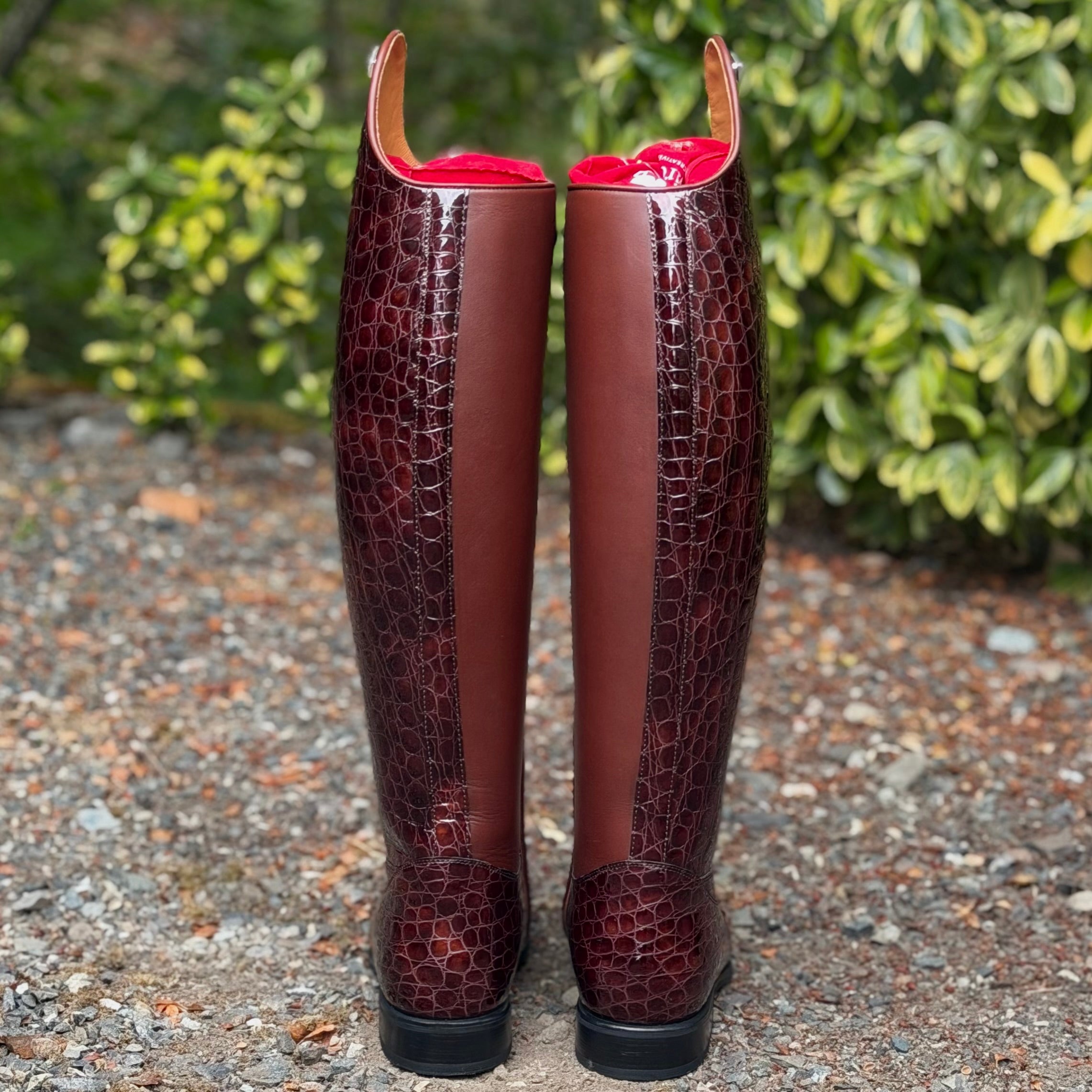 DeNiro Raffaello Dressage Boot - Lucido Sfumato Cocco with M5 - 37 MC/L