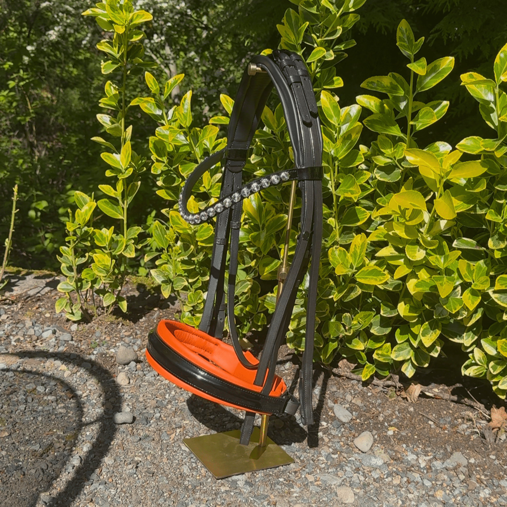 Otto Schumacher Warendorf Feel Good Flat Double Bridle with Tangerine Padding