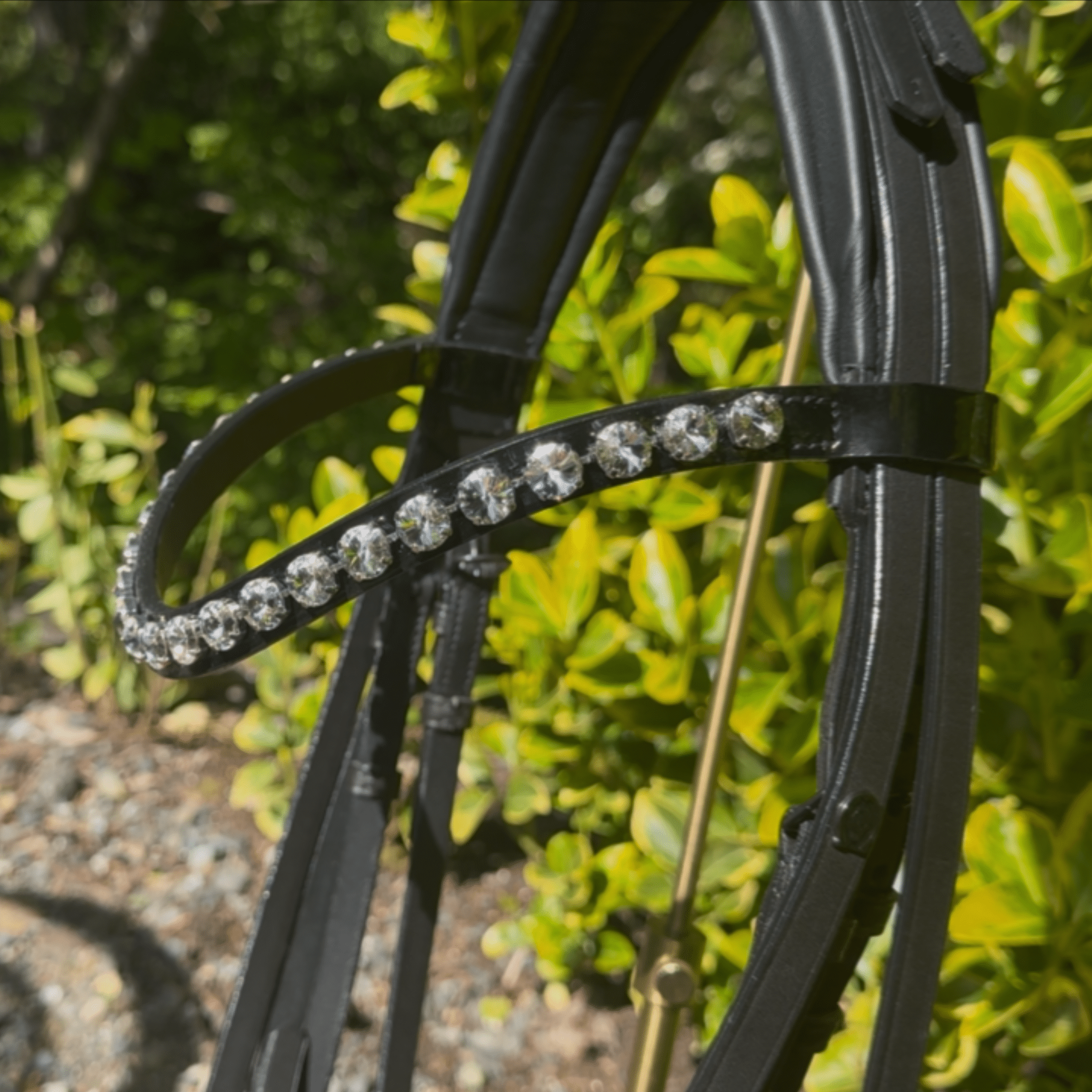 Otto Schumacher Warendorf Feel Good Flat Double Bridle with Tangerine Padding