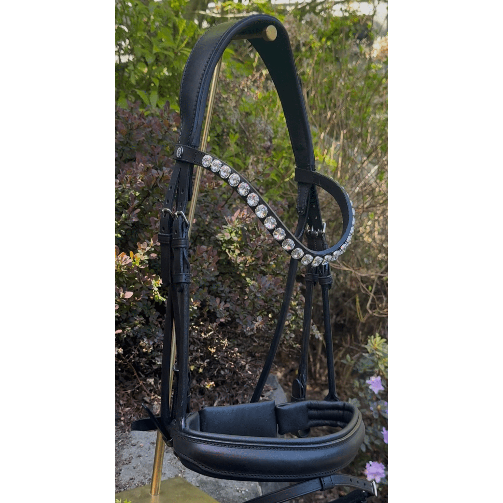 Otto Schumacher Black Bellevue Snaffle