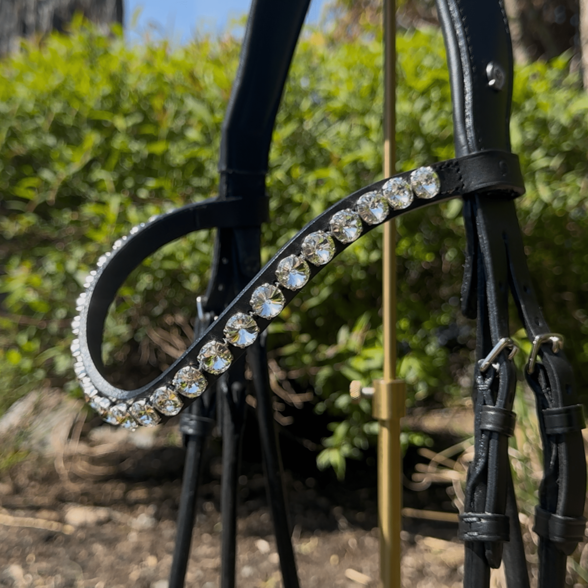 Otto Schumacher Black Bellevue Snaffle