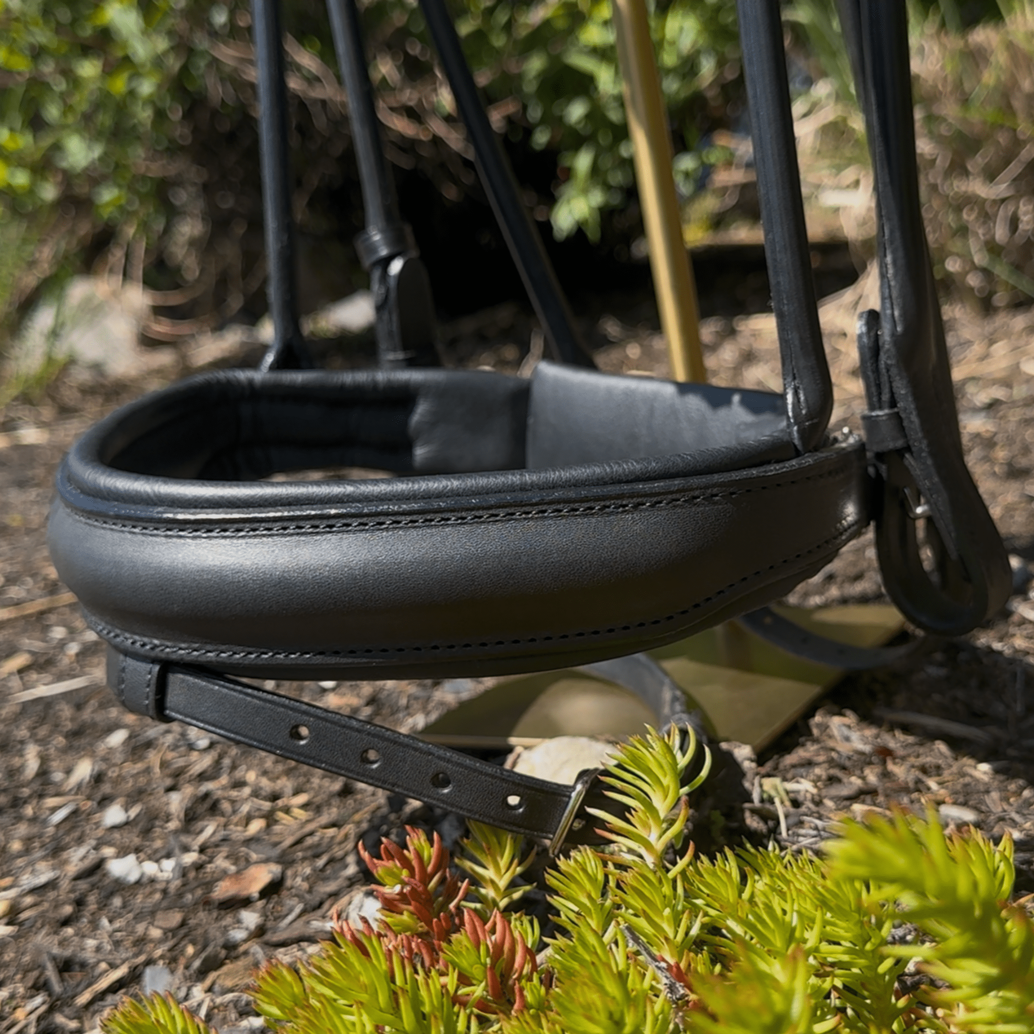 Otto Schumacher Black Bellevue Snaffle