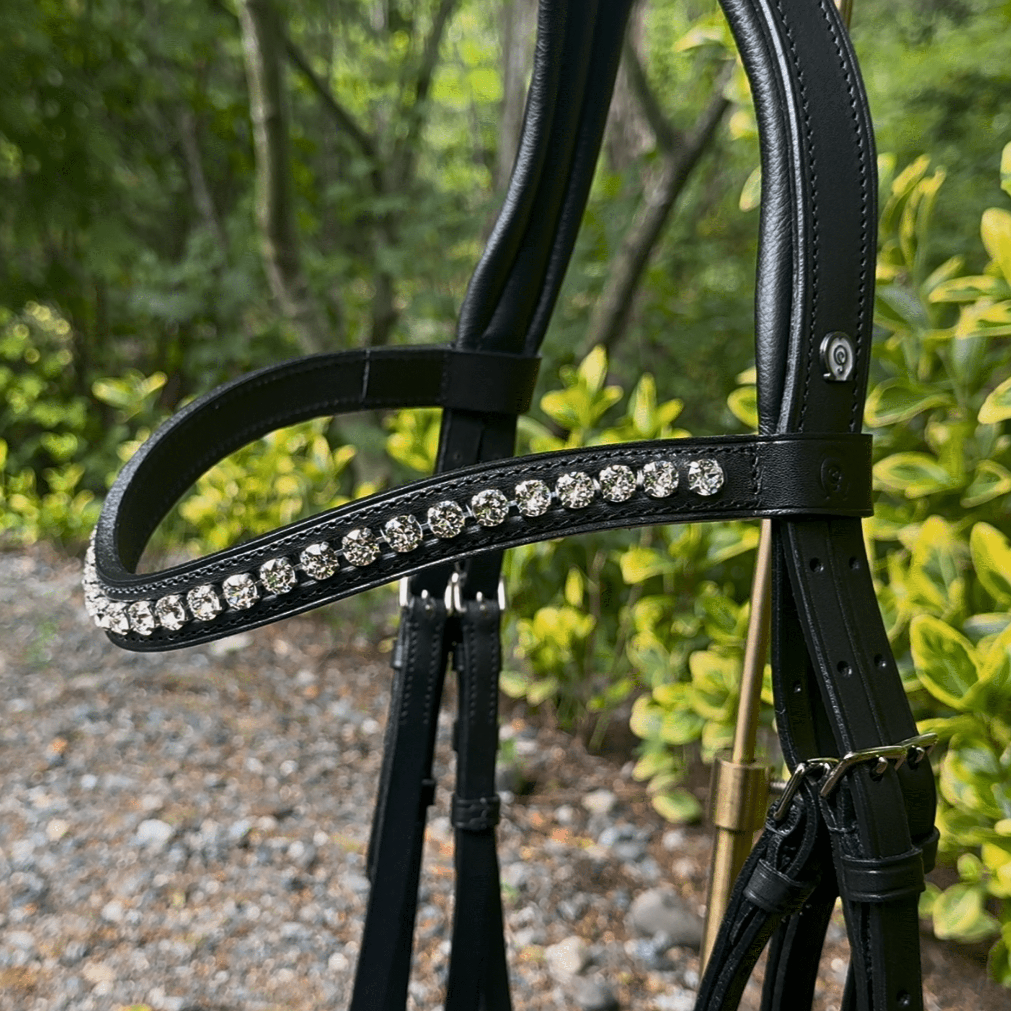 Otto Schumacher Elegant Double Bridle with Cutback Caveson