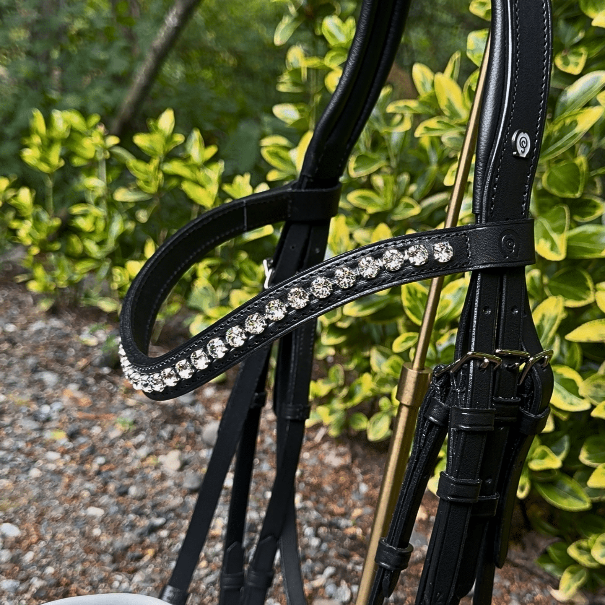 Otto Schumacher Elegant Double Bridle with Cutback Caveson