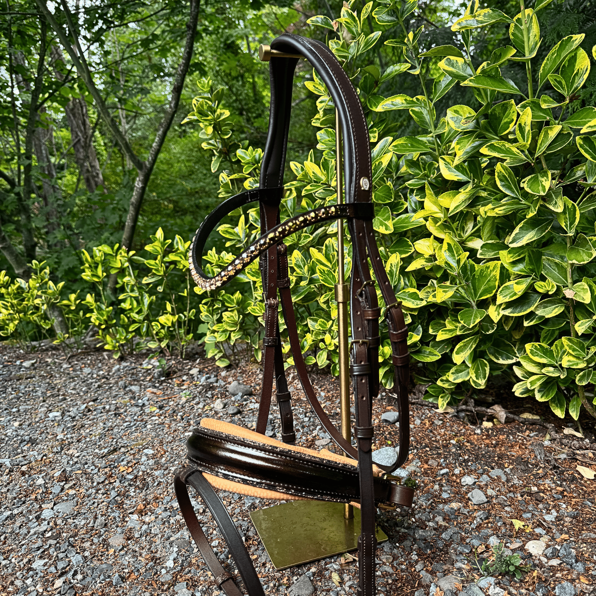 Otto Schumacher Elegant Snaffle Bridle in Chocolate Brown with Brass Hardware