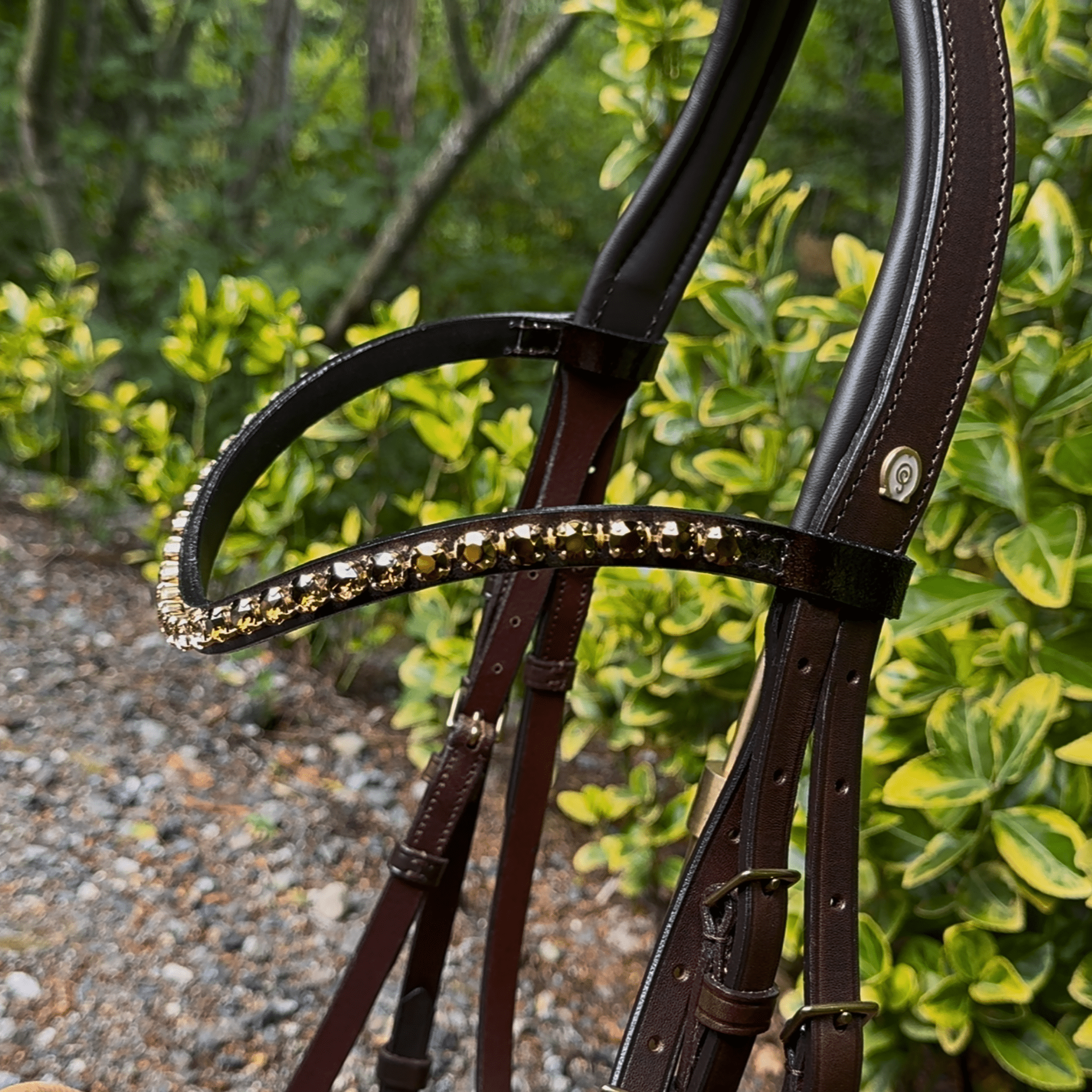 Otto Schumacher Elegant Snaffle Bridle in Chocolate Brown with Brass Hardware