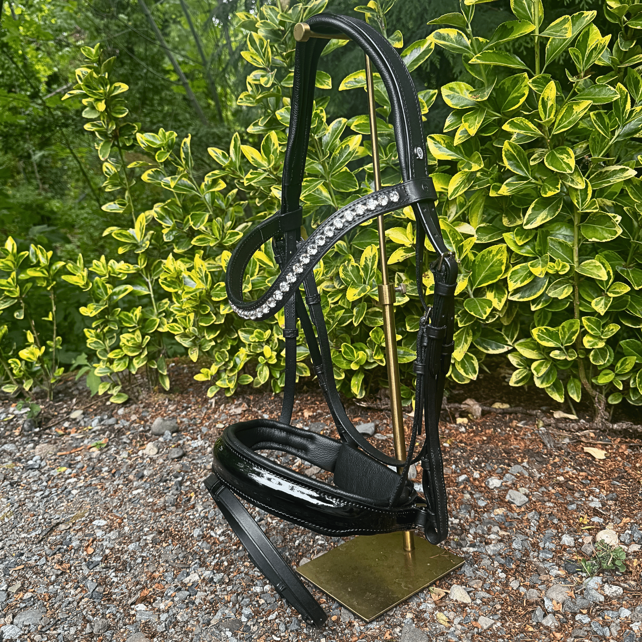 Otto Schumacher Elegant Snaffle Bridle with Cutback Caveson