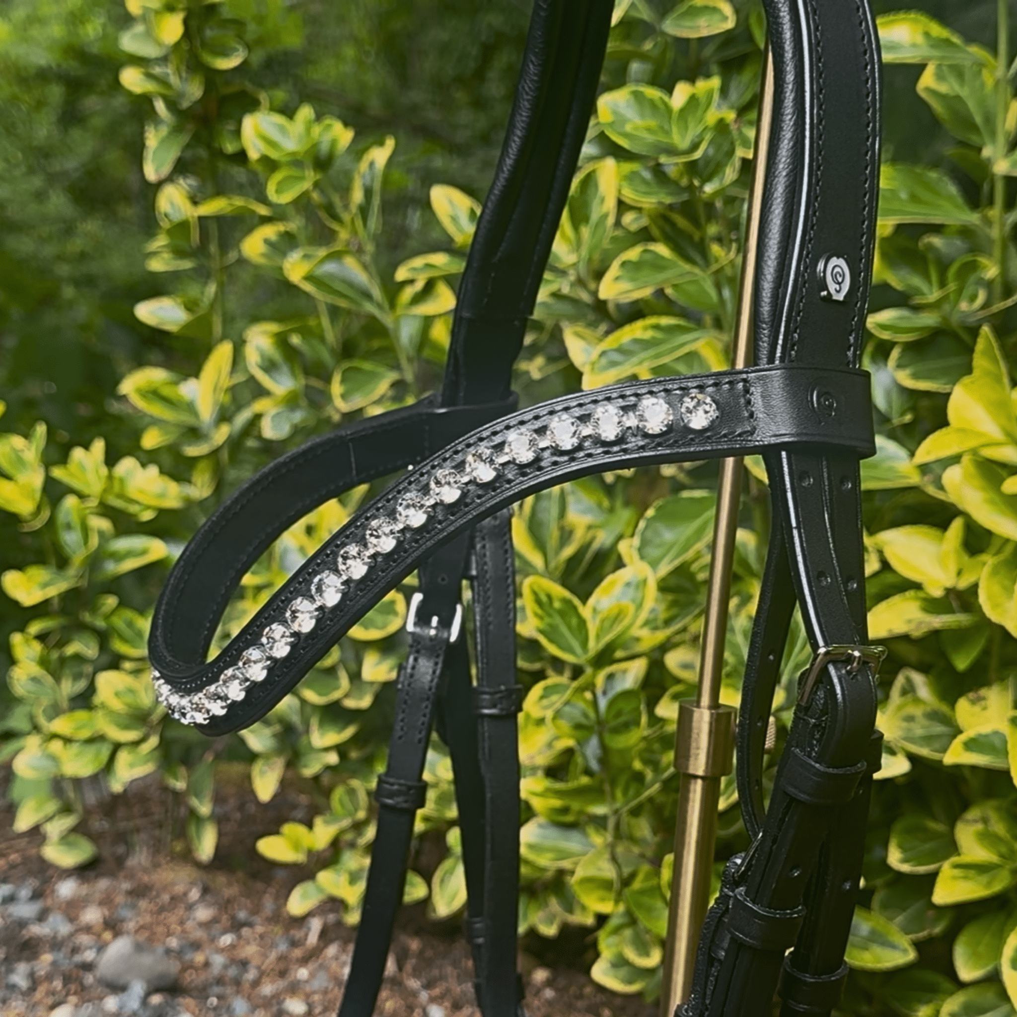 Otto Schumacher Elegant Snaffle Bridle with Cutback Caveson