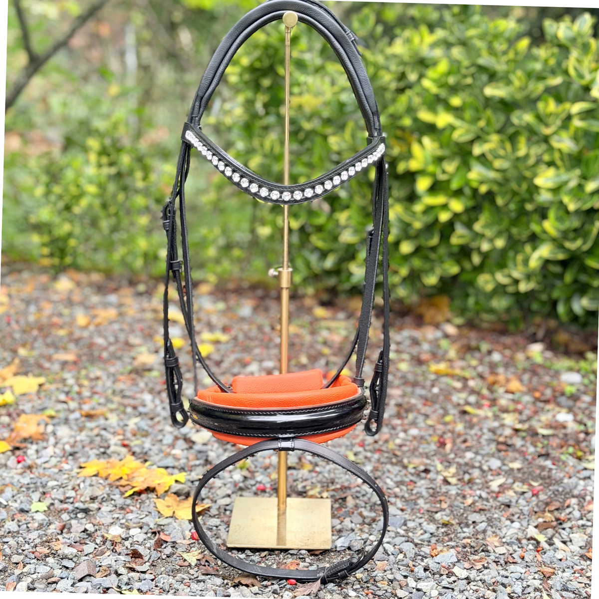 Otto Schumacher Warendorf Feel Good Snaffle Bridle with Black Patent and Tangerine Padding