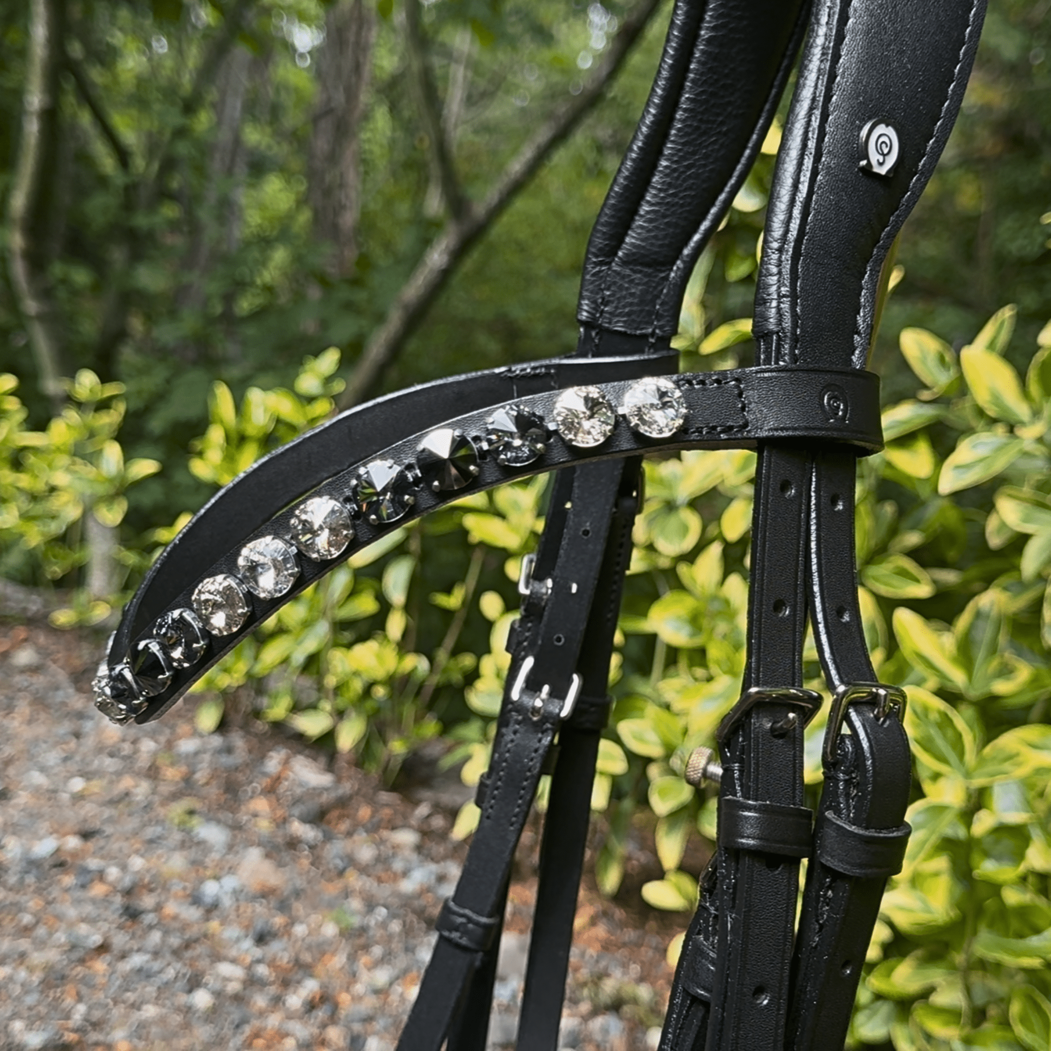 Otto Schumacher Tokyo Snaffle with Black Patent and XL Rivoli Browband