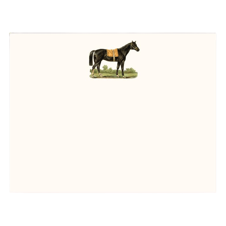 Thoroughbred Note Cards