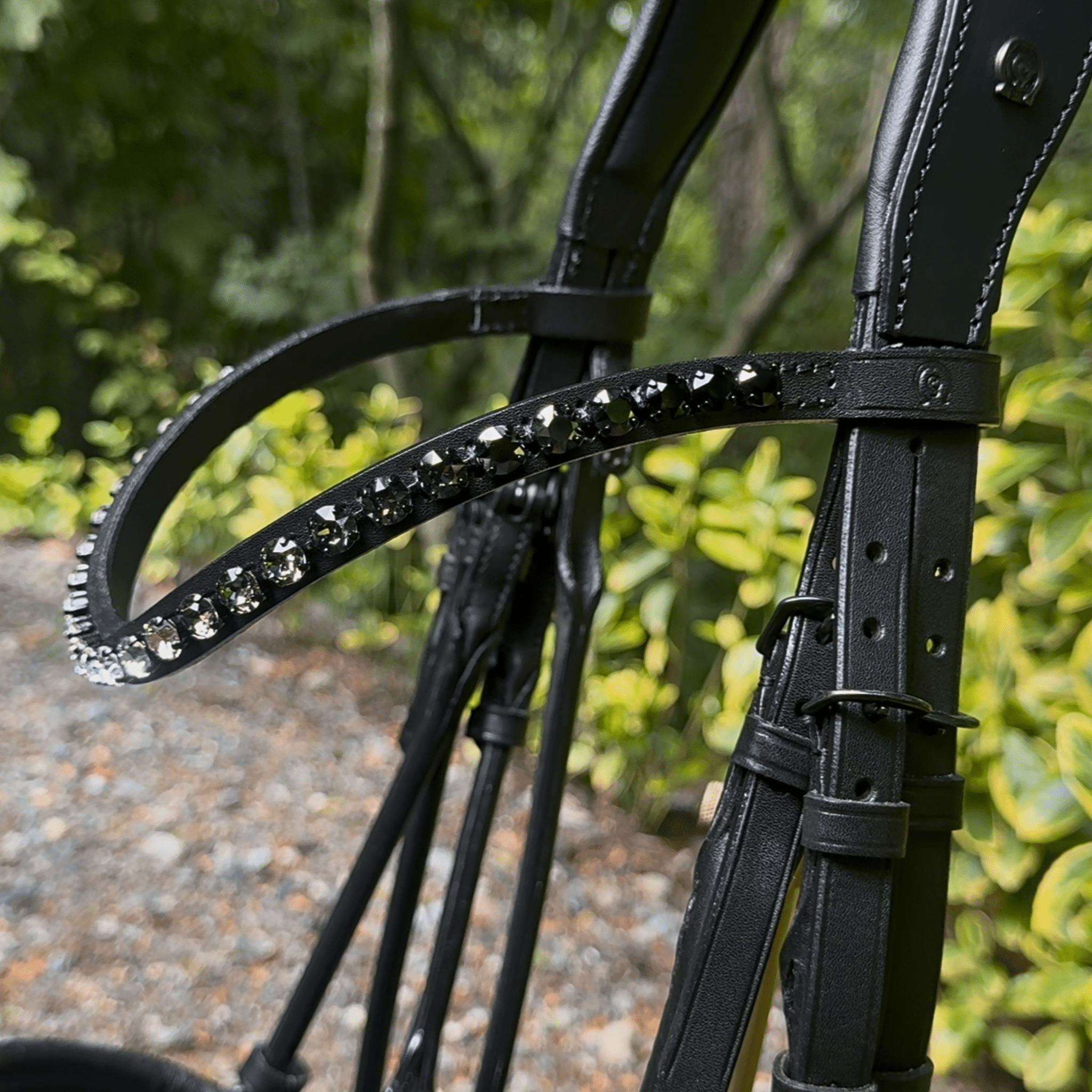 Otto Schumacher Bellevue Rolled Double with Black Patent and Shaded Rivoli Browband