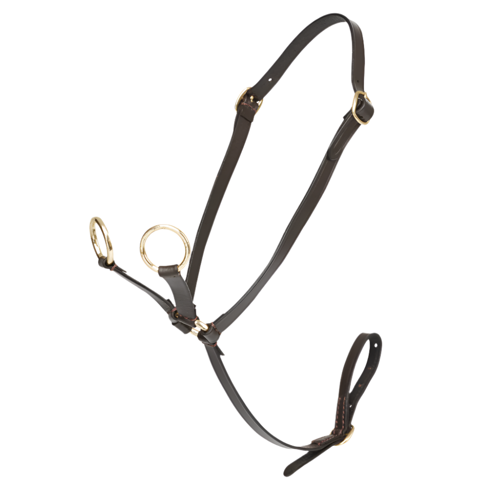 LeMieux Mini Pony Martingale - Havana