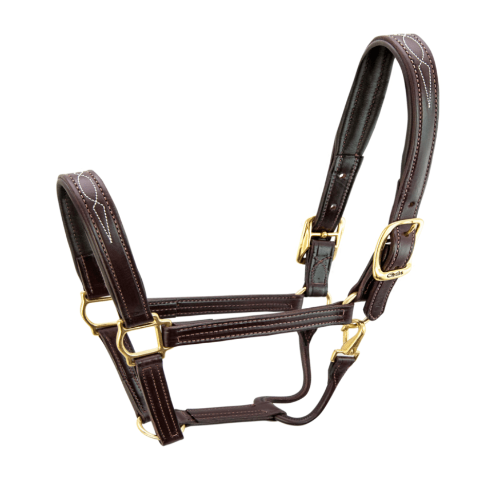 Walsh Signature Padded Halter with Throat Snap - Havana & Brass
