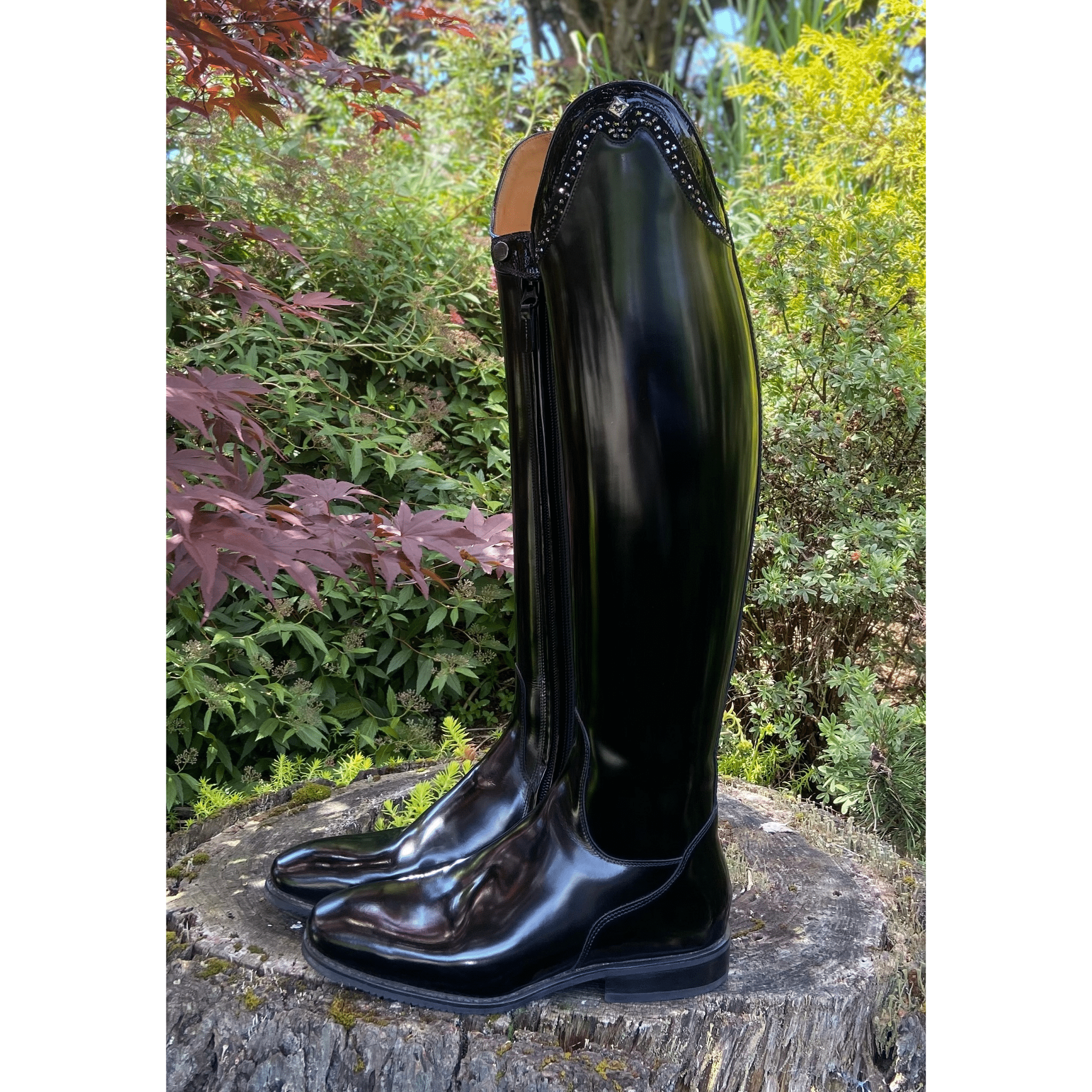 Custom DeNiro Bellini Dressage Boot - Brushed Black with Crystal Rondine Top