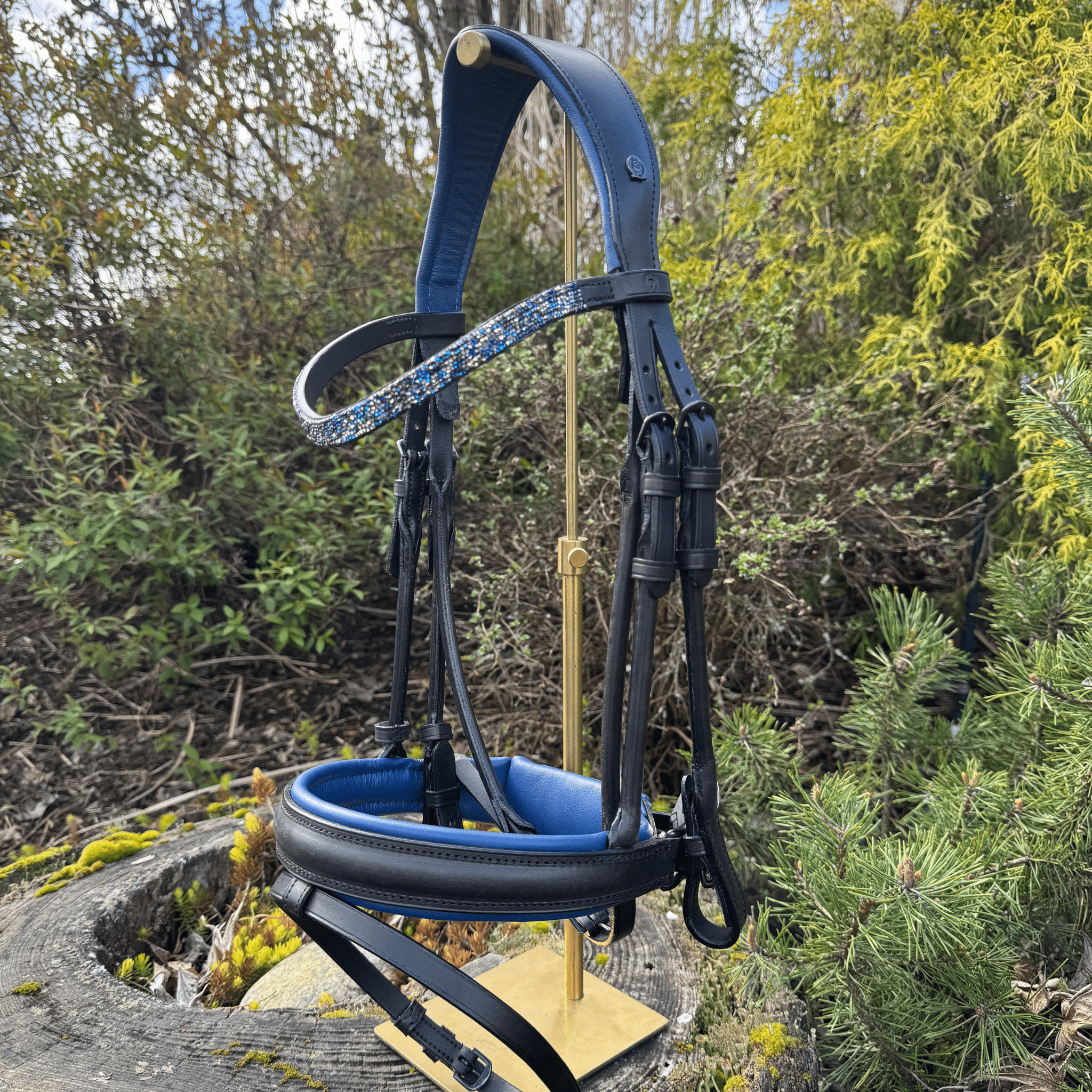 Otto Schumacher Bellevue Snaffle in Black with Blue Padding - Cob