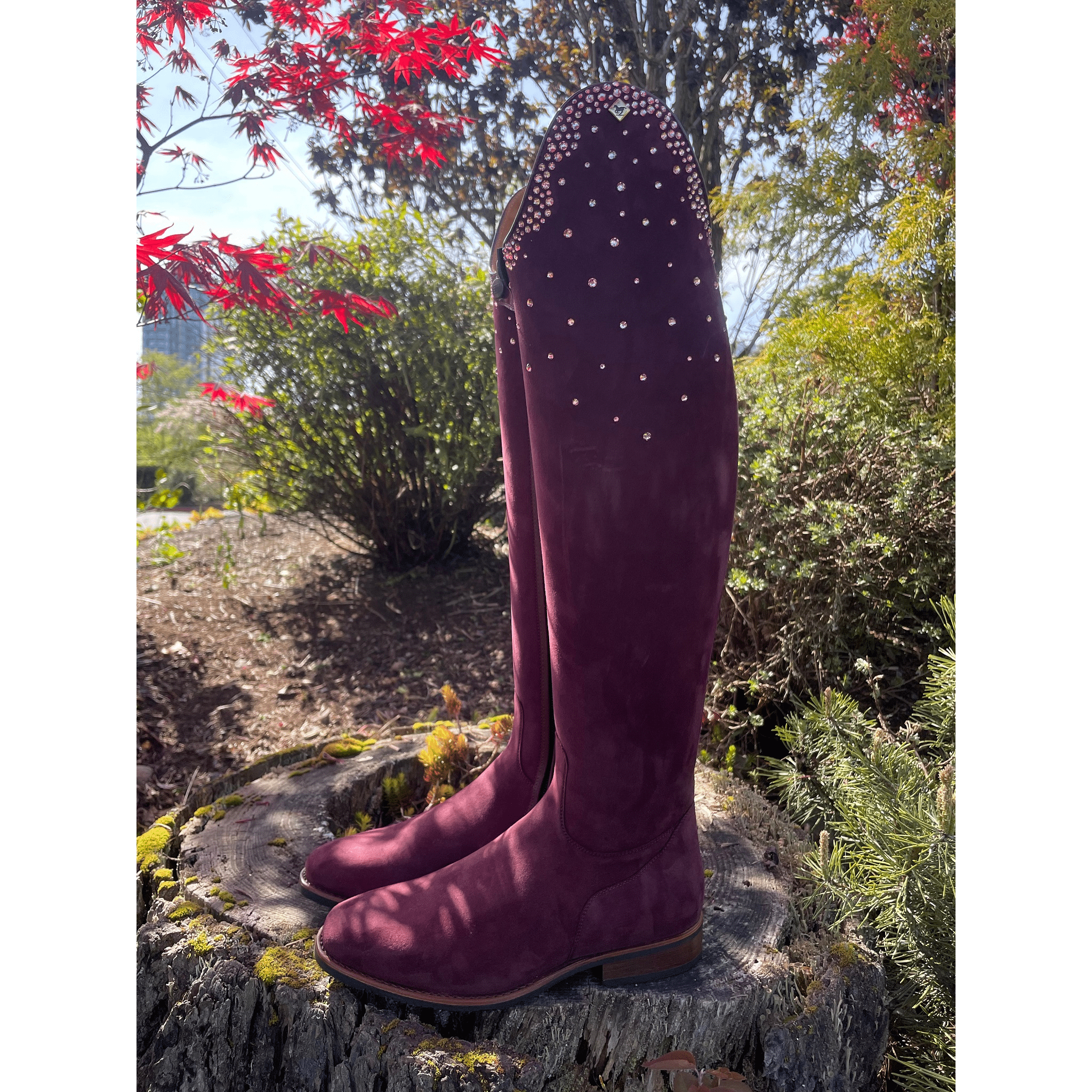 DeNiro Camoscio Suede Bordeaux Raffaello with Swarovski