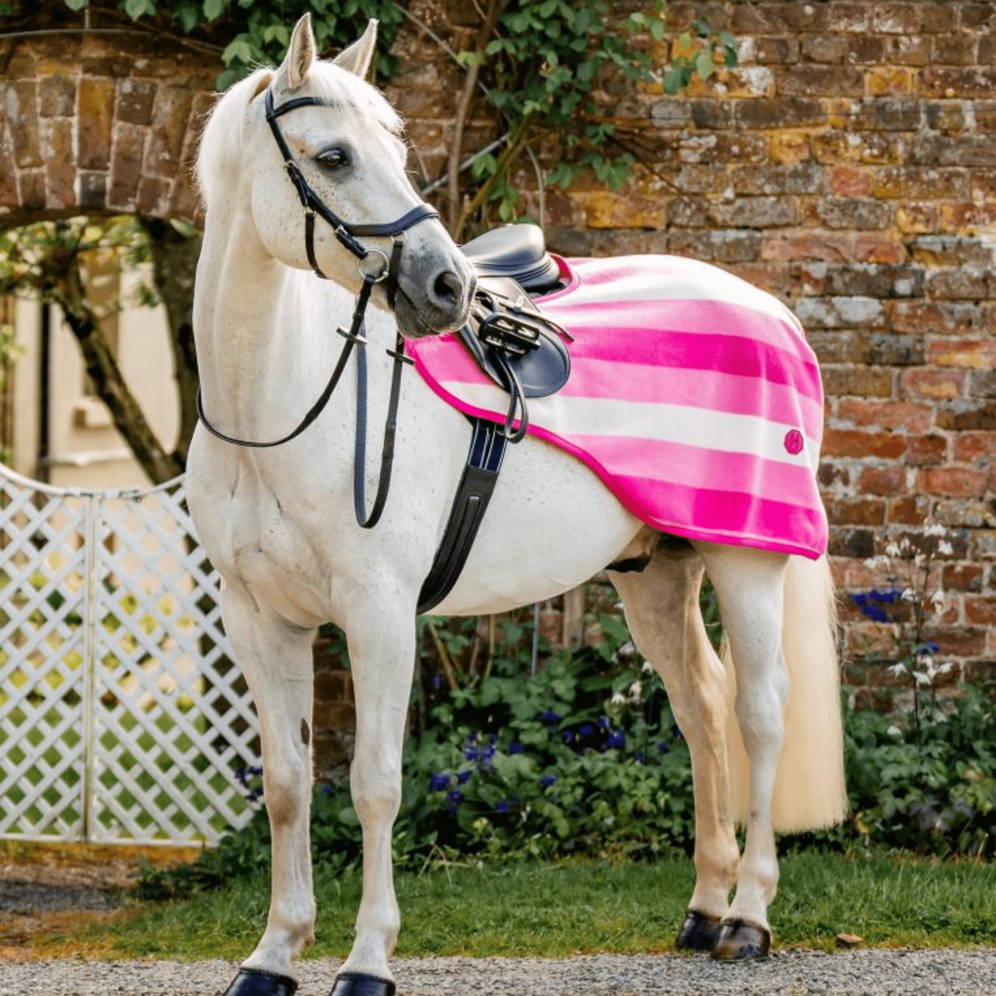 Horseware Newmarket Exercise Sheet Witney Pink