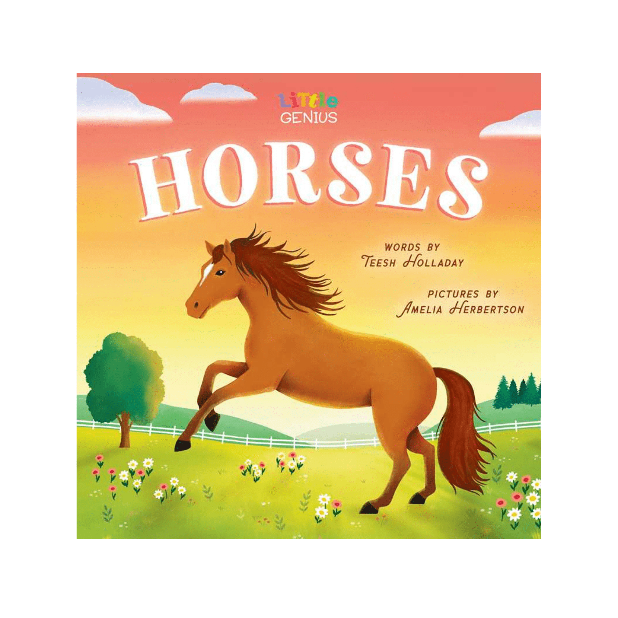 Little Genius Horses by Teesh Holladay