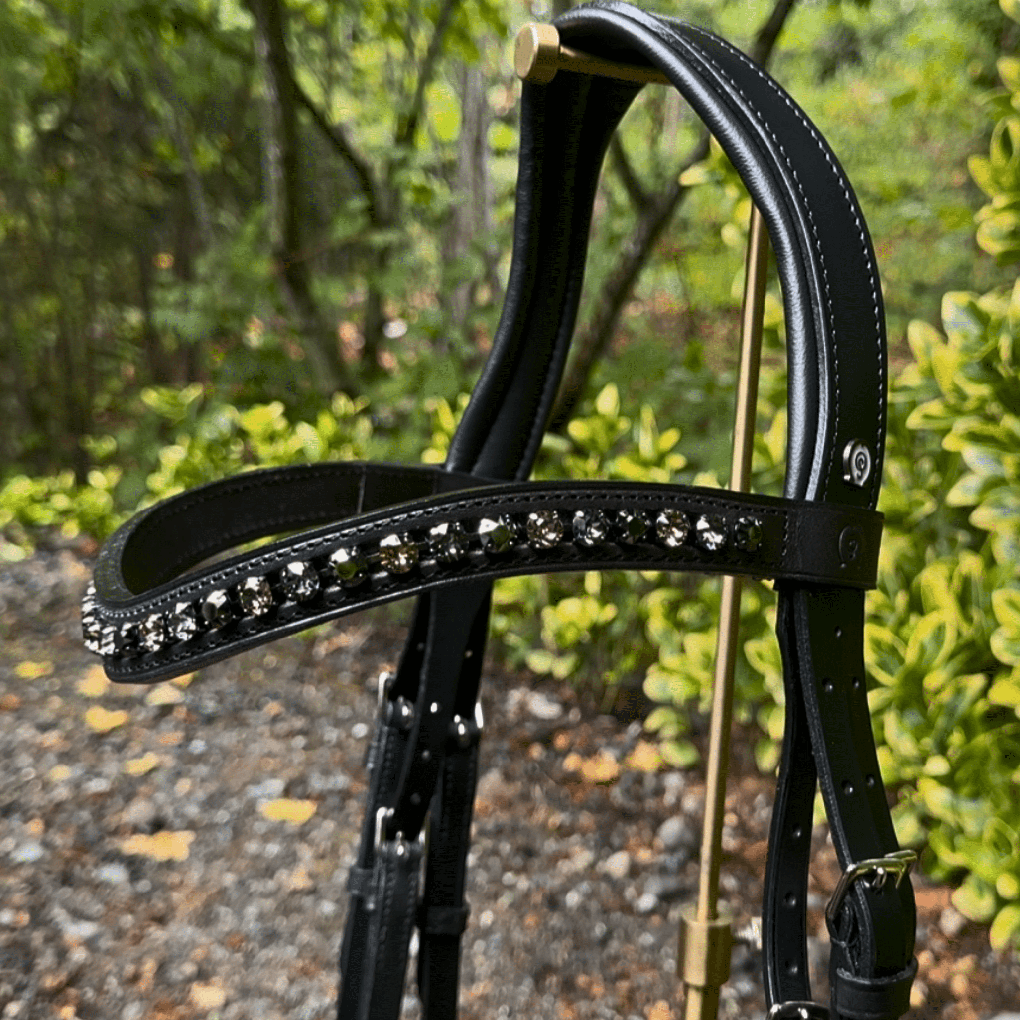 Otto Schumacher Elegant Snaffle Bridle With Multicolored brow