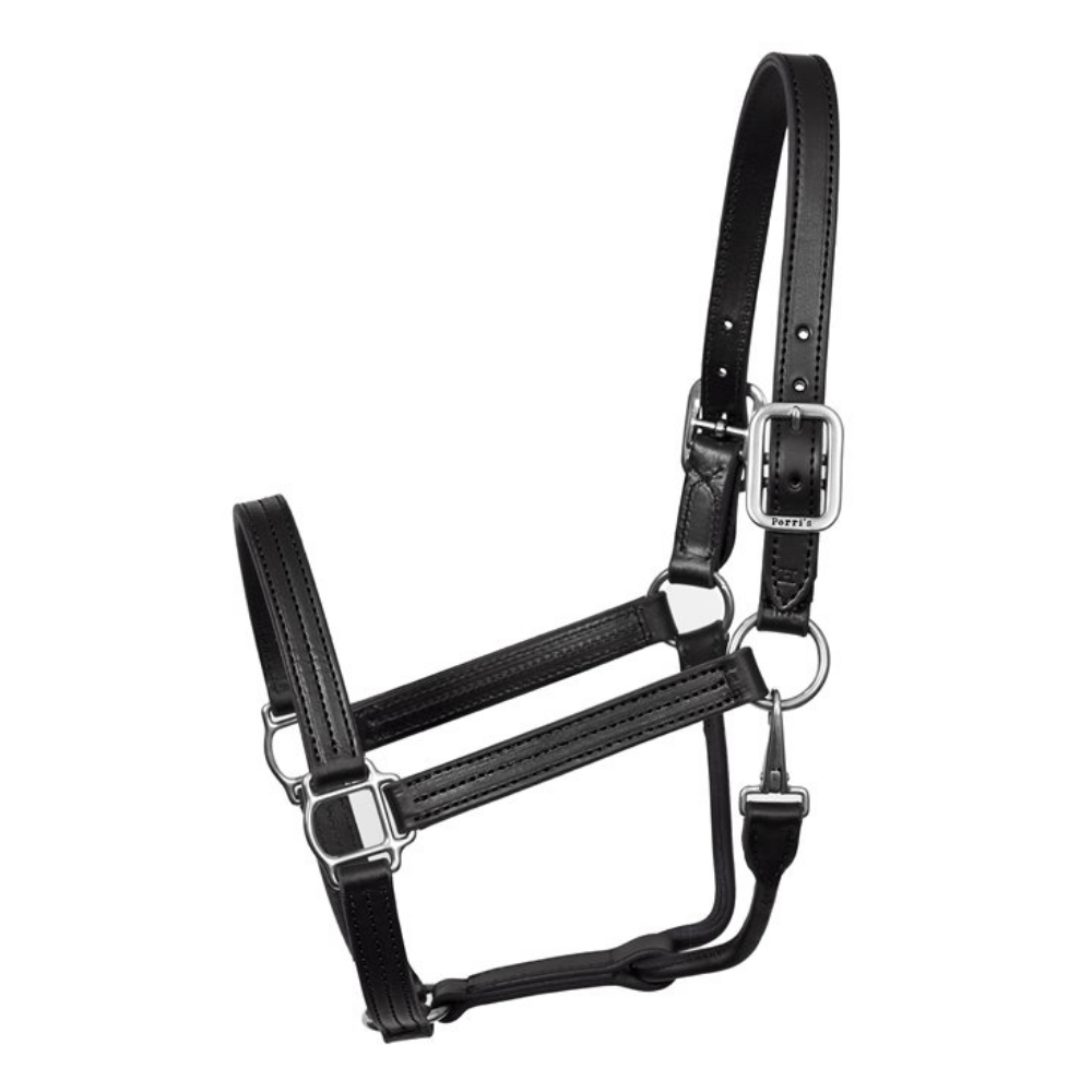 Perris Premium Leather Halter - Black & Chrome