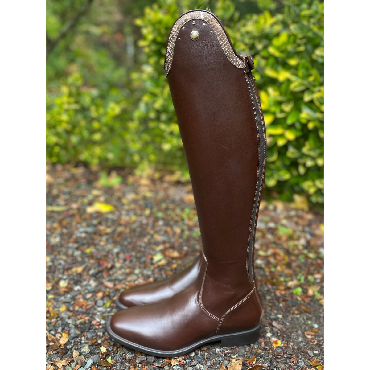 DeNiro Puro Duo Dressage Boot - Smooth Brown with Brown Regal & Golden Shadow 39 MA/M
