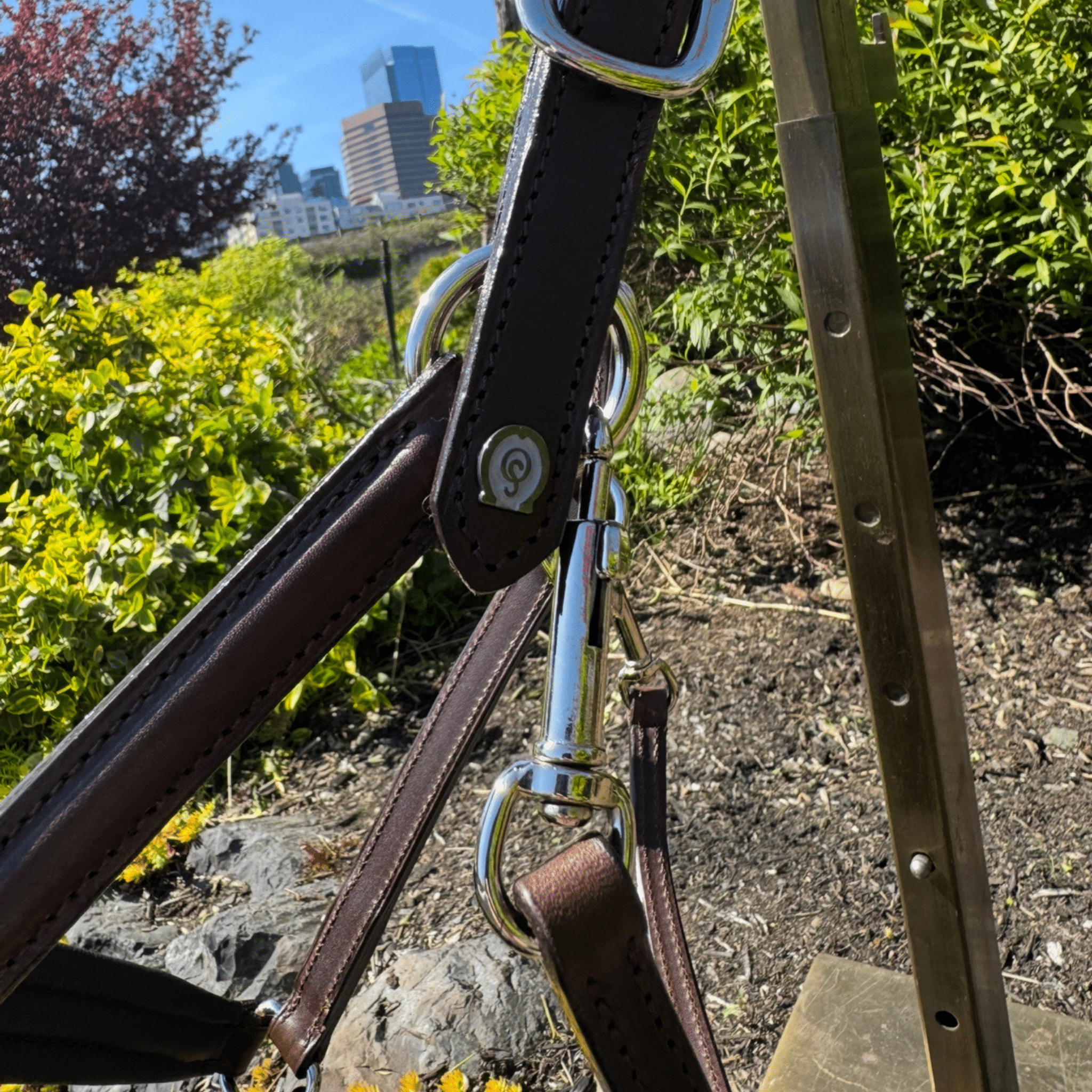 Otto Schumacher Brown Halter 2.8cm