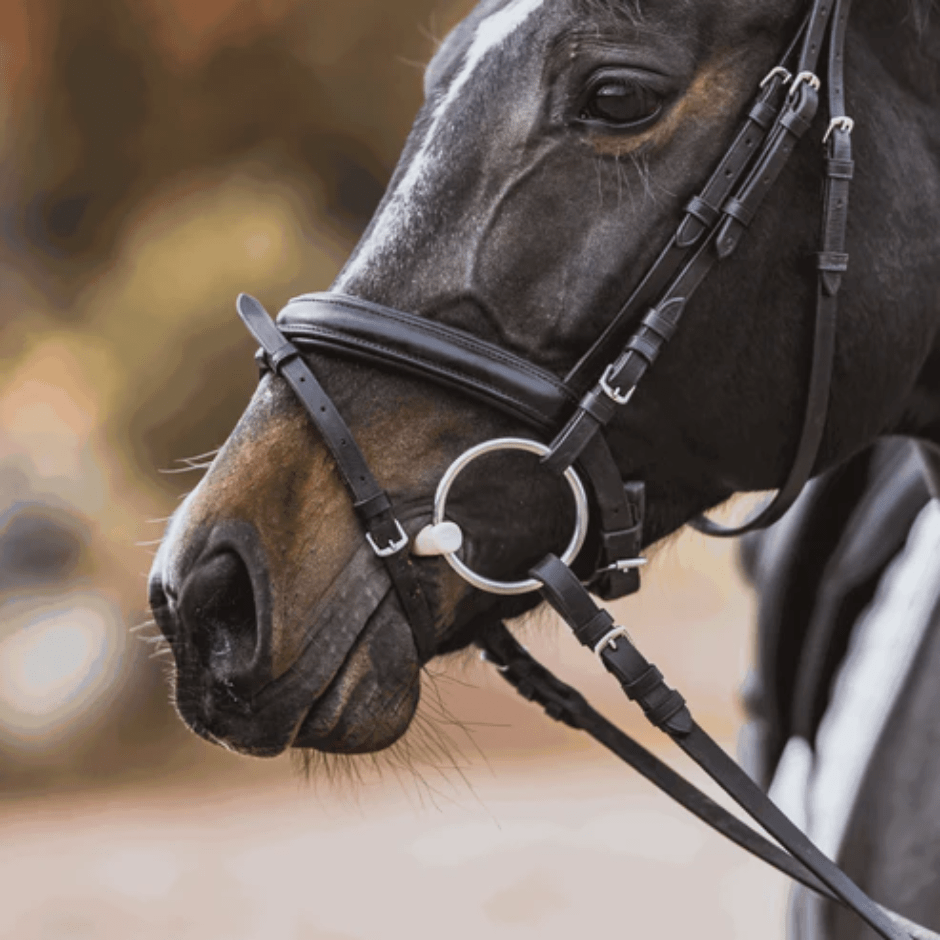 Herm Sprenger Duo Loose Ring Bit - 70mm